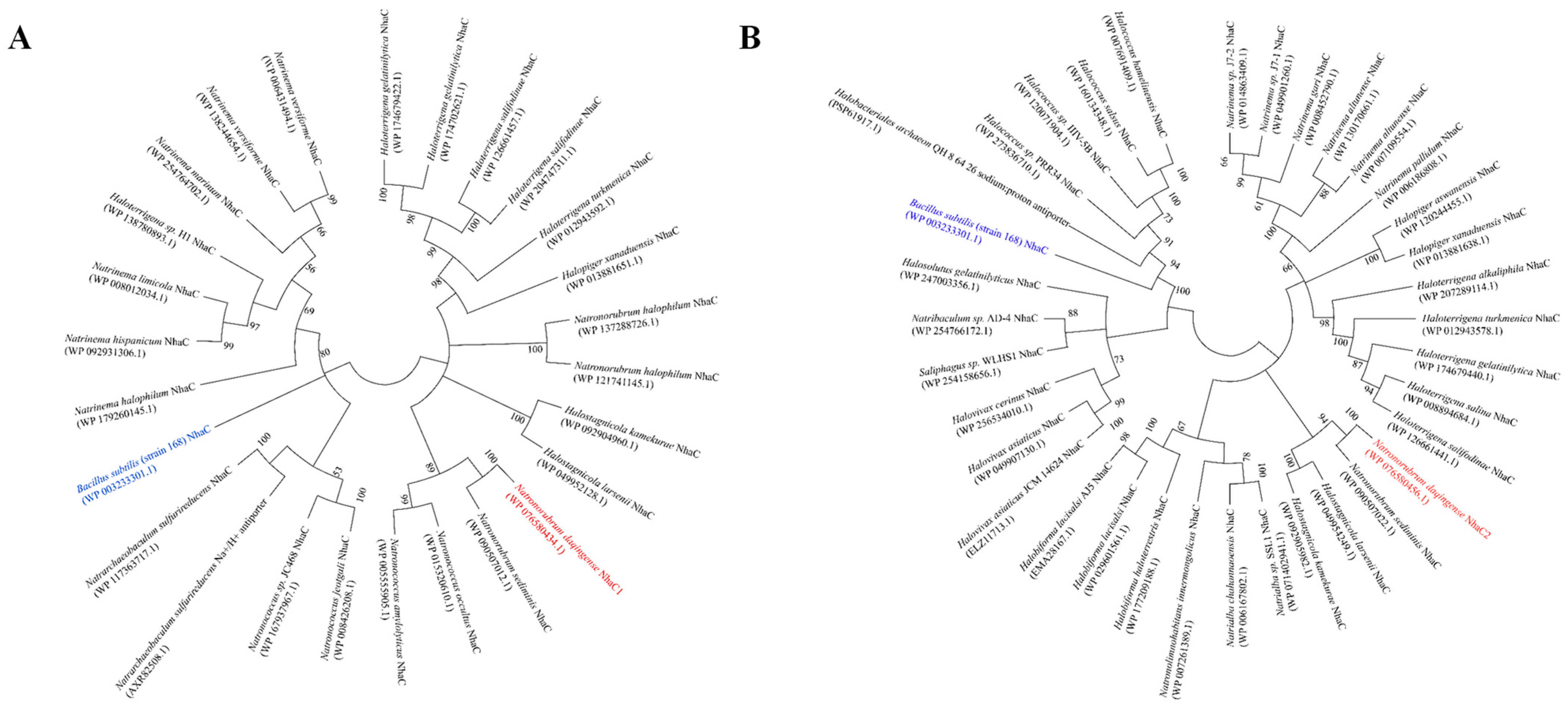 Ijms 24 10786 g003 Ijms 24 10786 g003