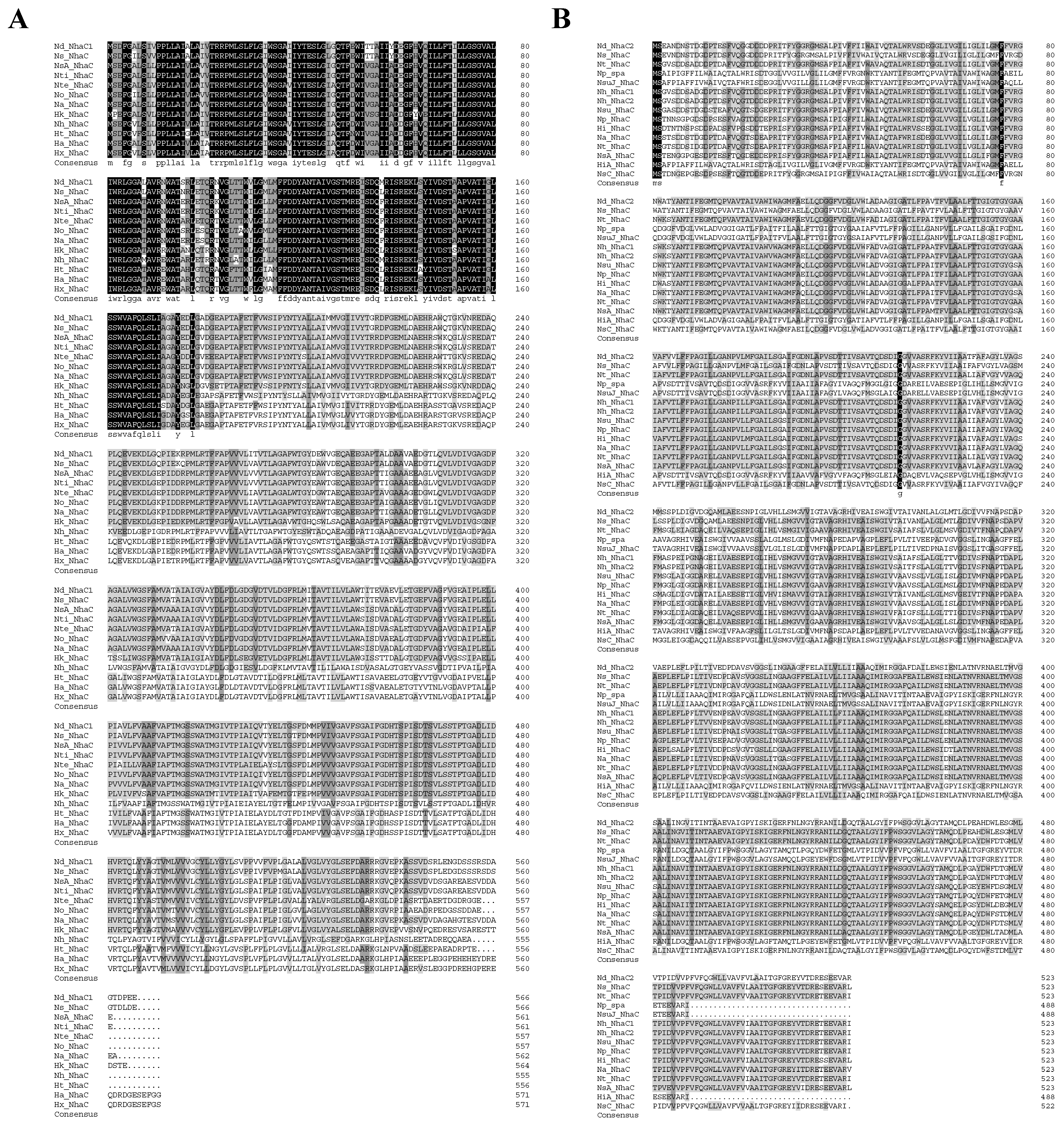 Ijms 24 10786 g004 Ijms 24 10786 g004