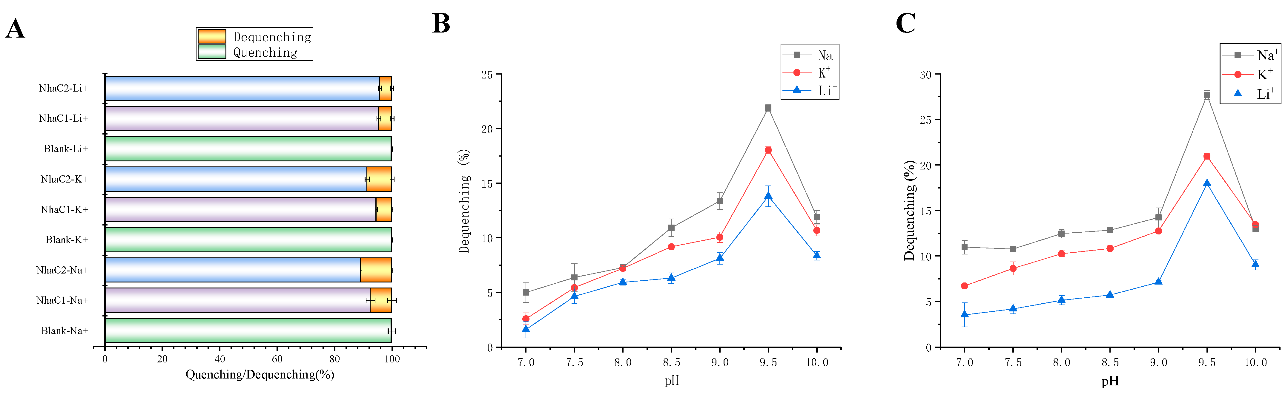 Ijms 24 10786 g007 Ijms 24 10786 g007