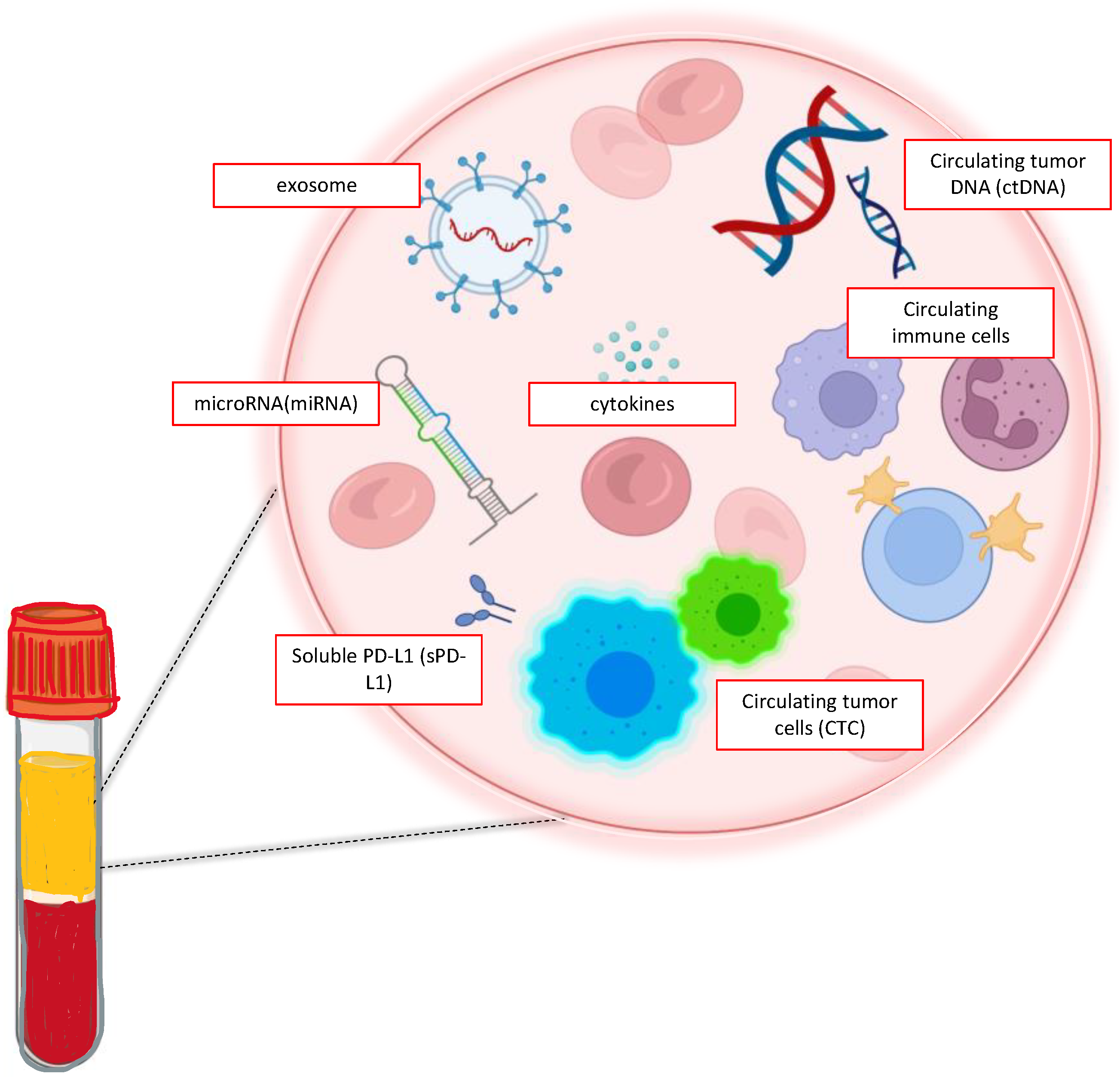 Ijms 24 10803 g002 Ijms 24 10803 g002