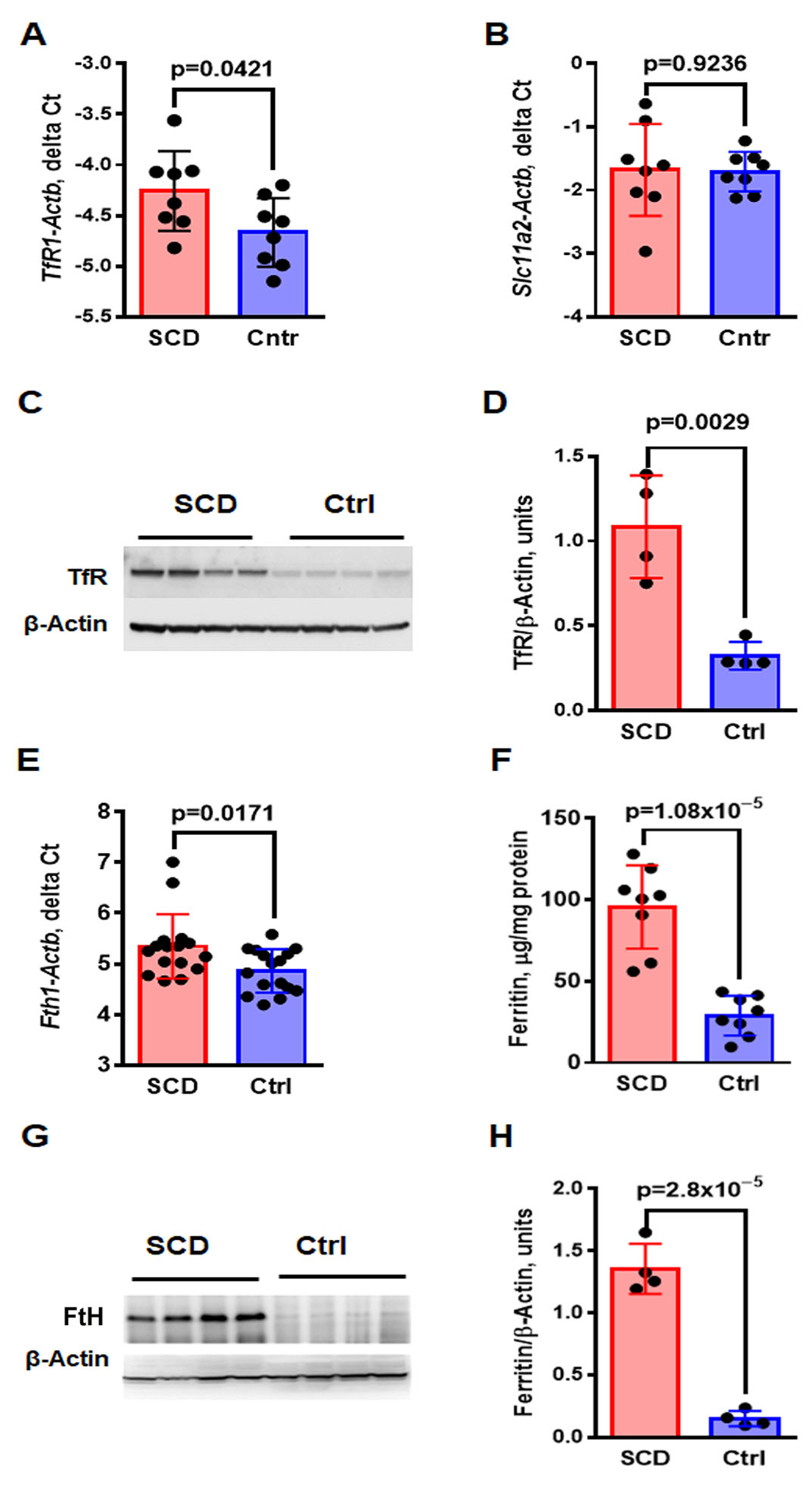 Ijms 24 10806 g002 Ijms 24 10806 g002