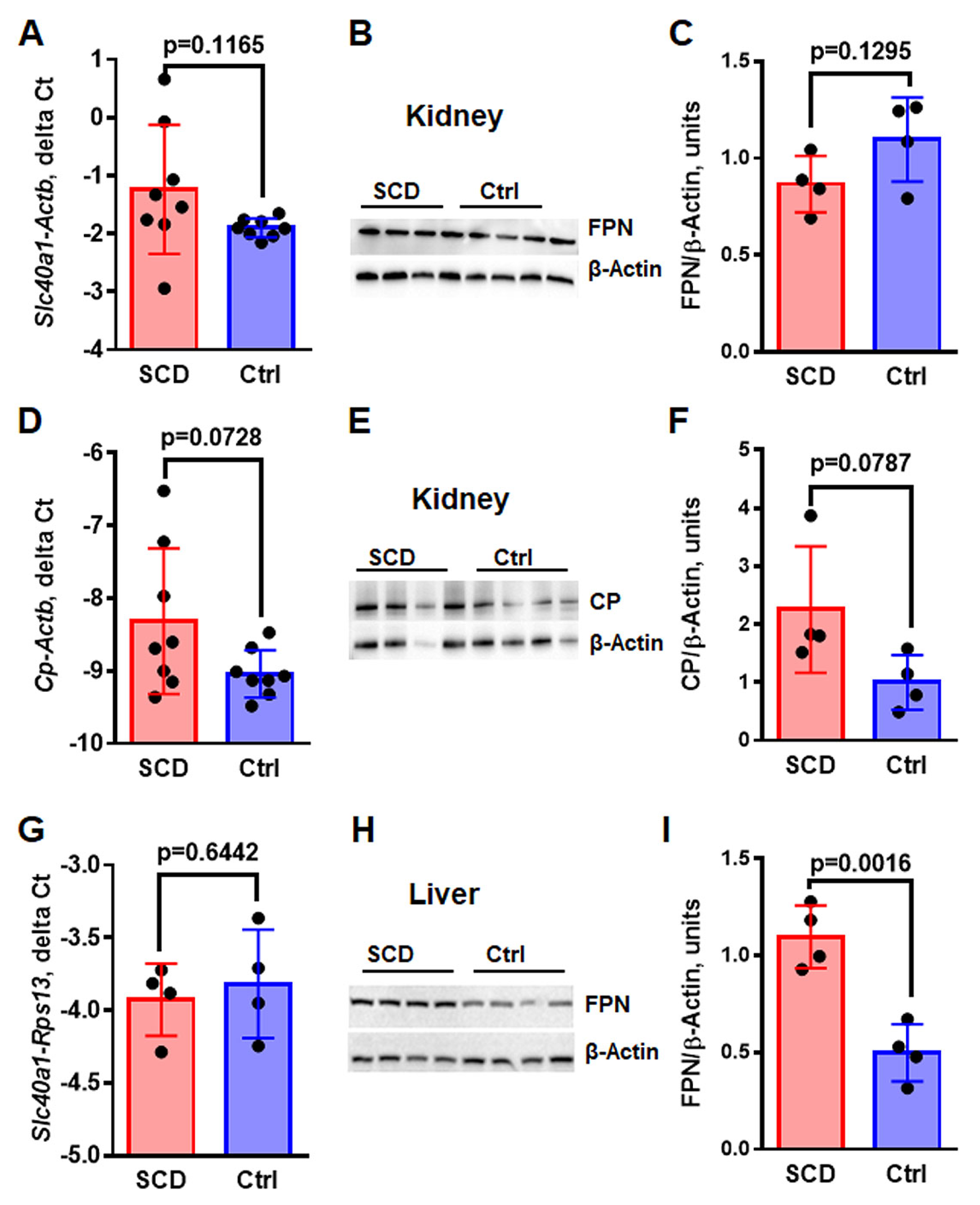 Ijms 24 10806 g003 Ijms 24 10806 g003