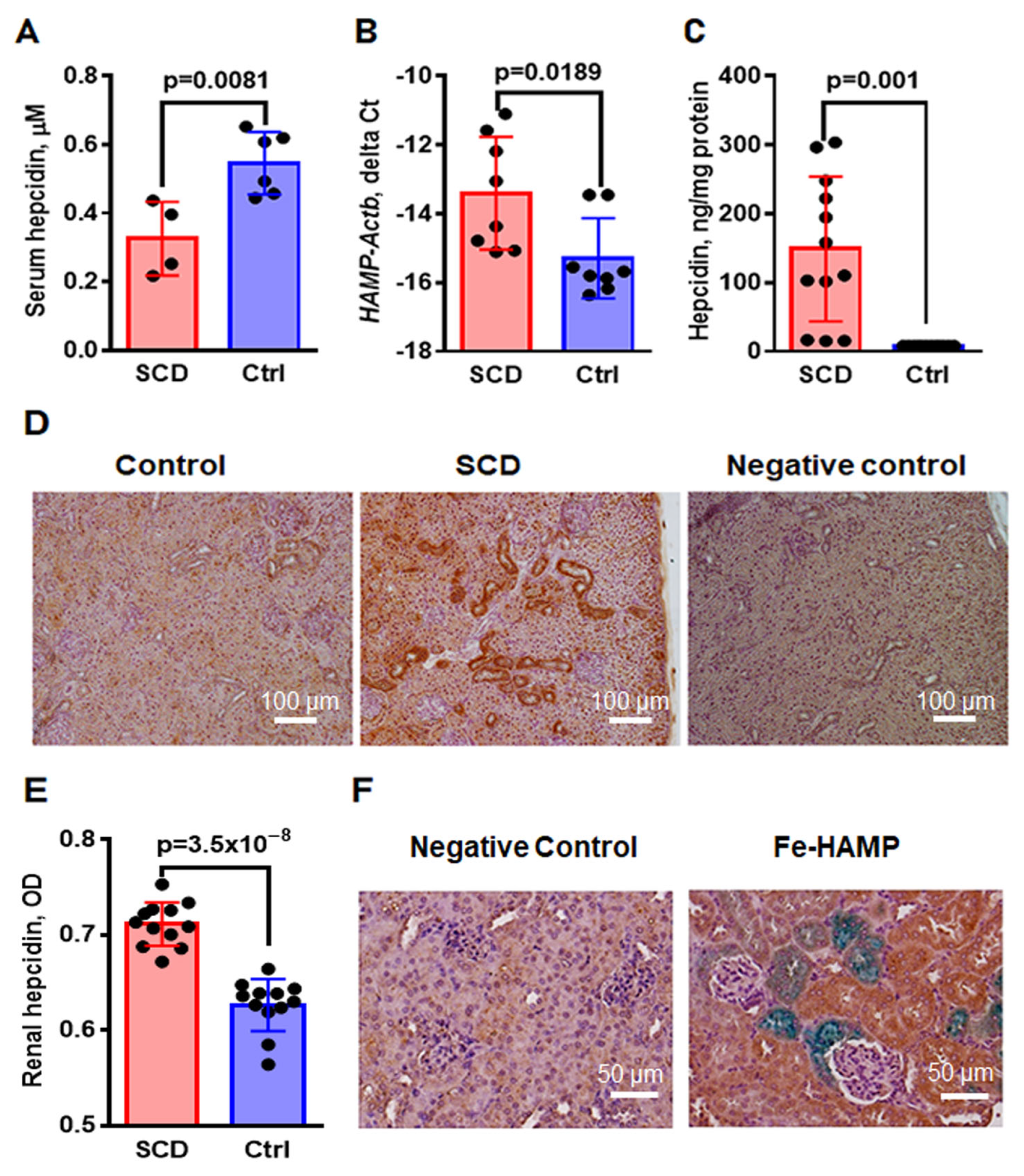 Ijms 24 10806 g004 Ijms 24 10806 g004