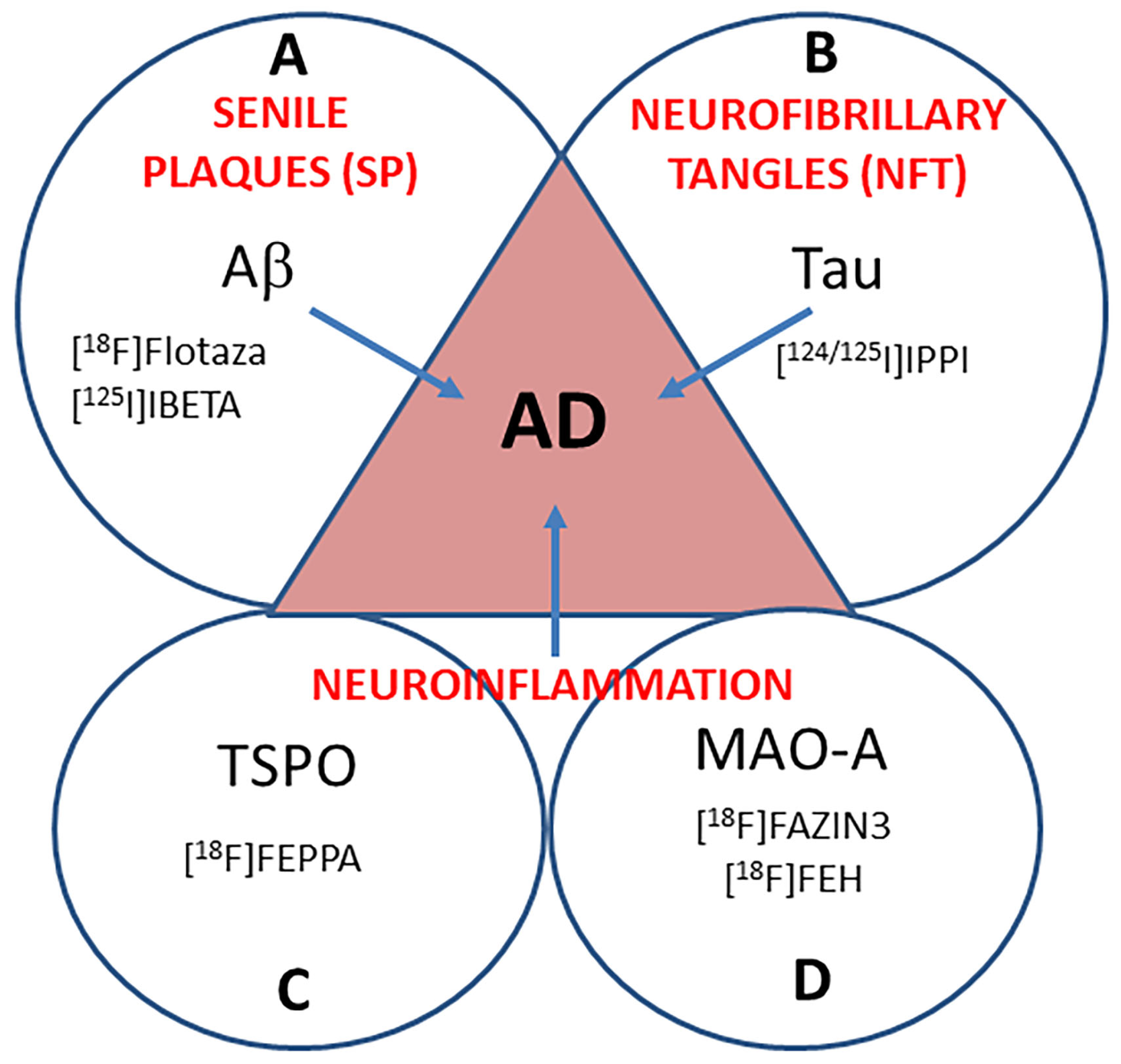 IJMS | Free Full-Text | Comparison of Monoamine Oxidase-A, A&beta; Plaques,  Tau, and Translocator Protein Levels in Postmortem Human Alzheimer&rsquo;s  Disease Brain