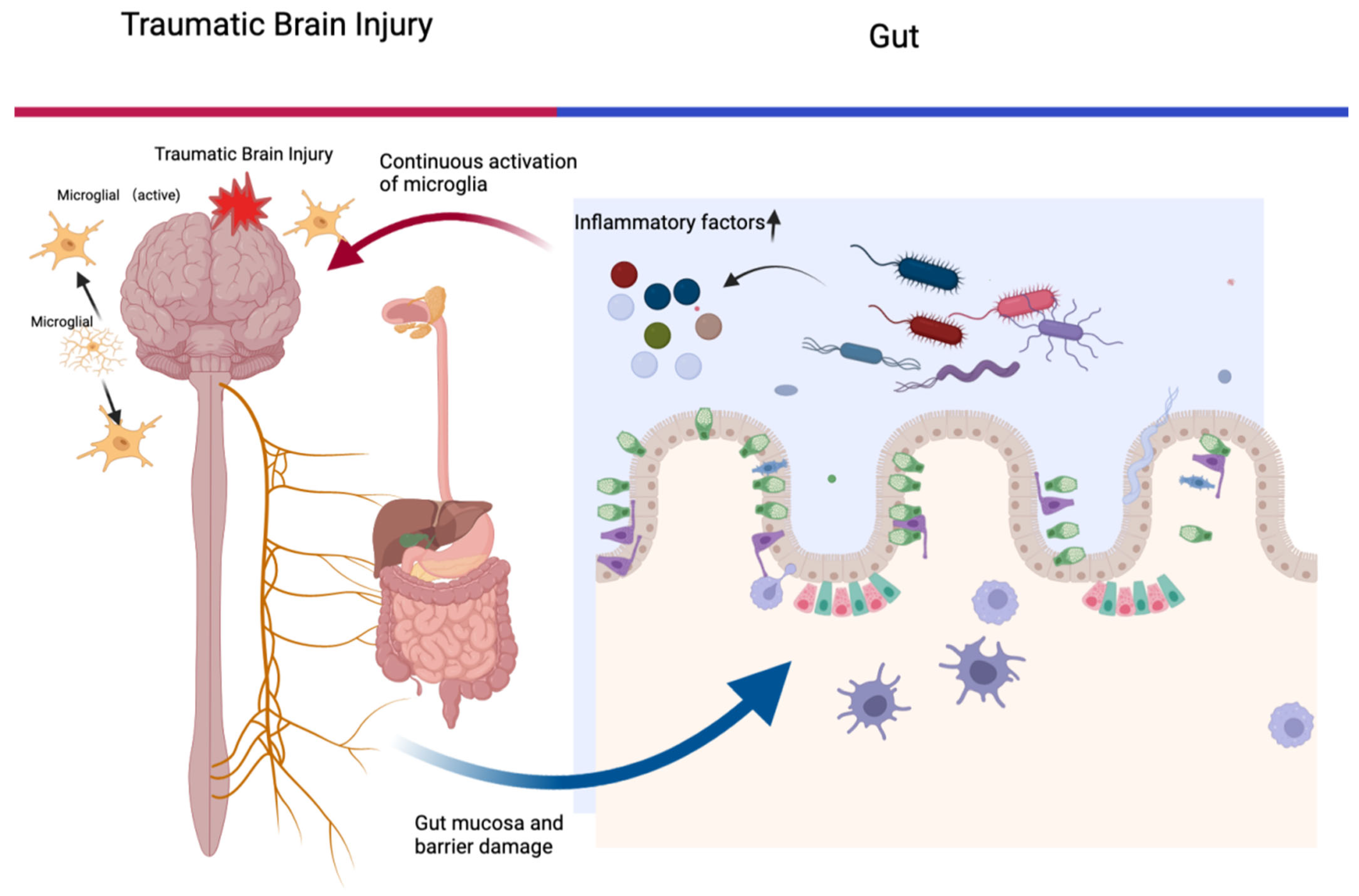 Ijms 24 10820 g001 Ijms 24 10820 g001