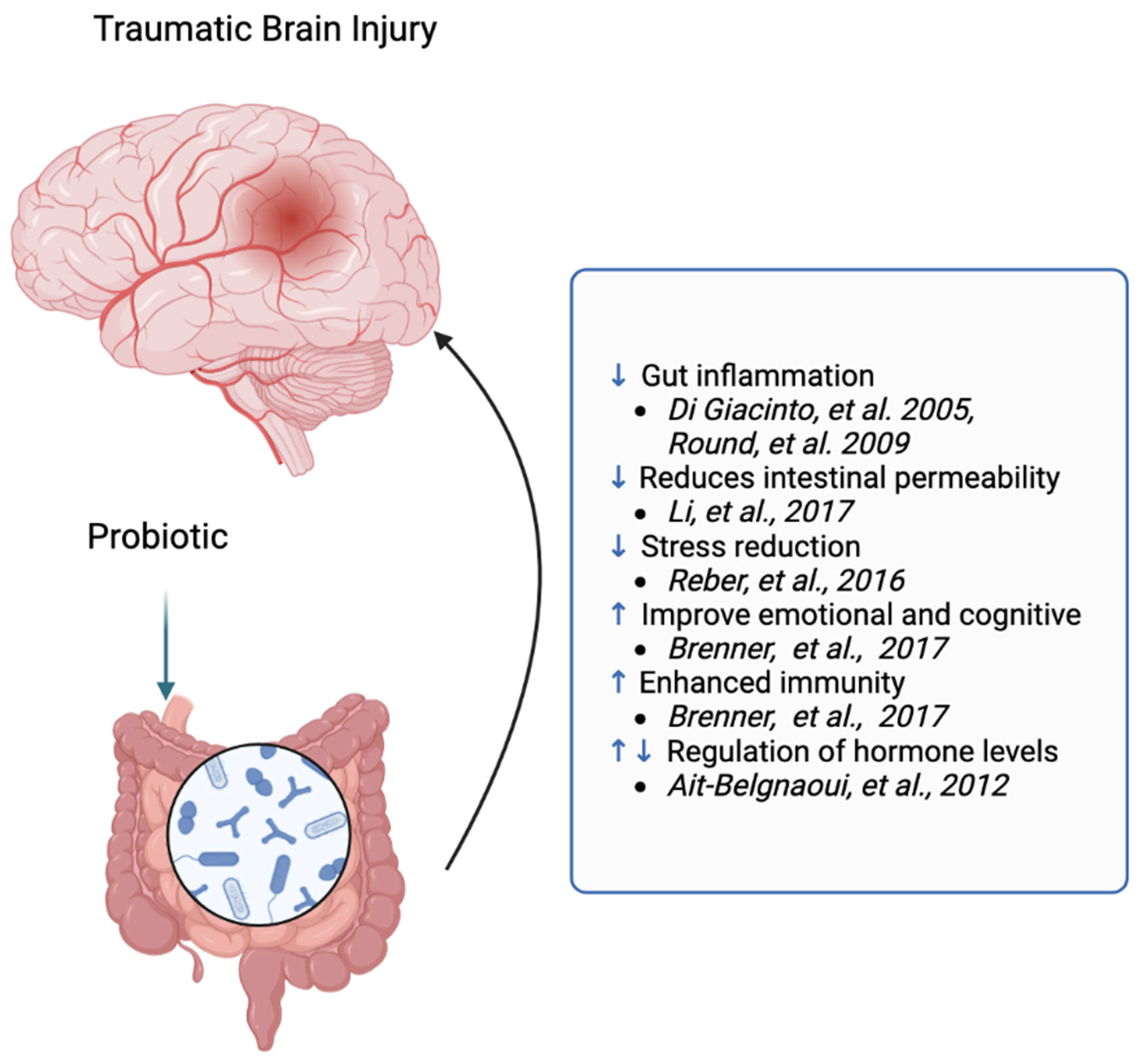 Ijms 24 10820 g002 Ijms 24 10820 g002