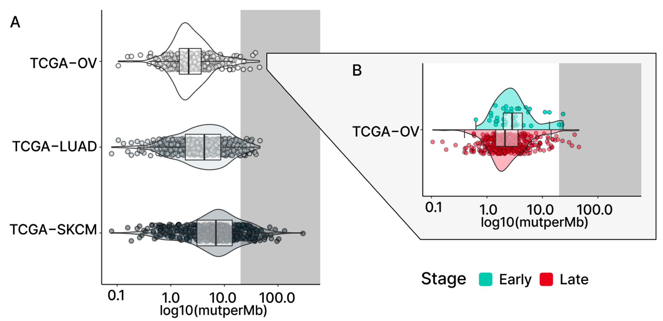 Ijms 24 10823 g001 Ijms 24 10823 g001