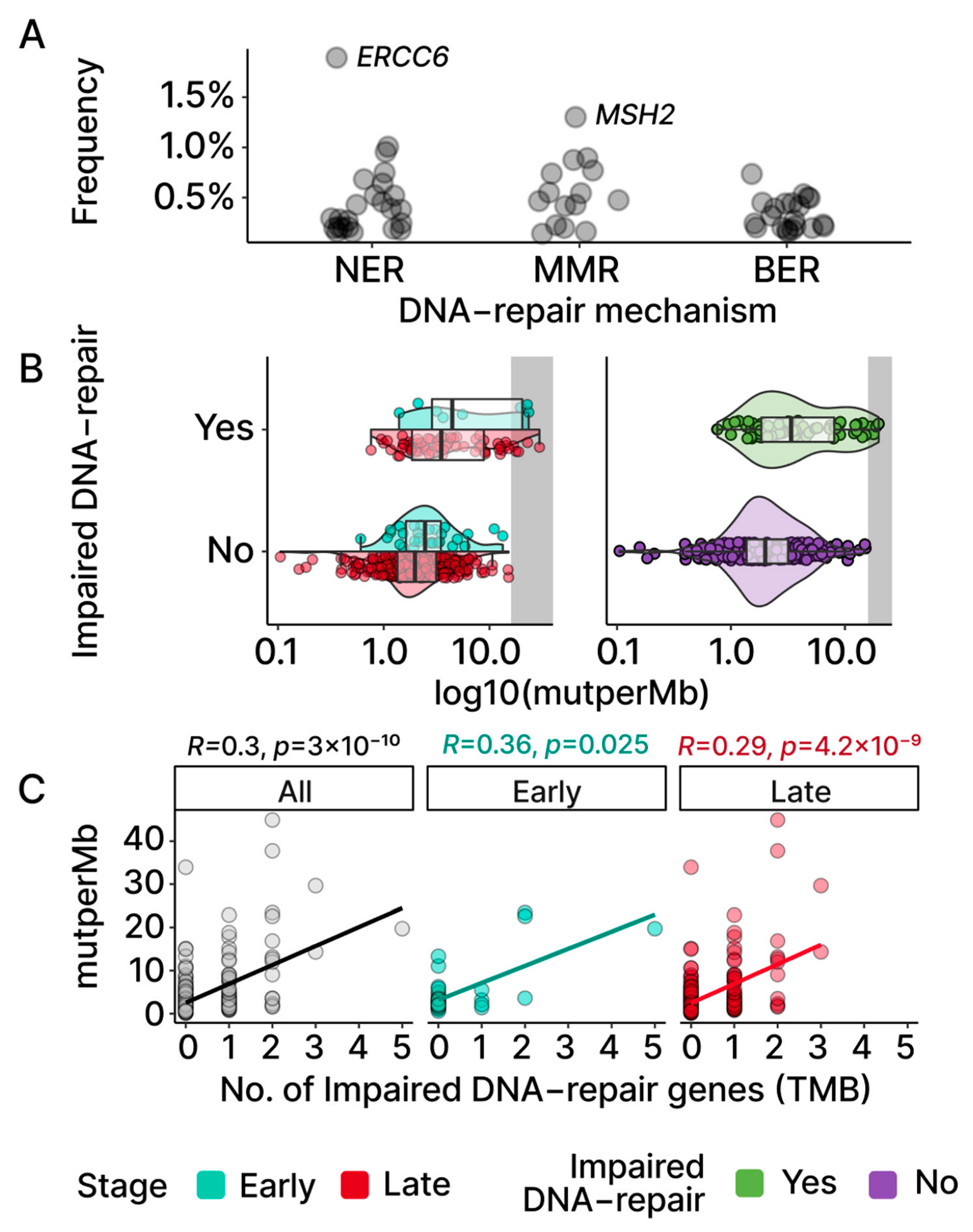 Ijms 24 10823 g004 Ijms 24 10823 g004