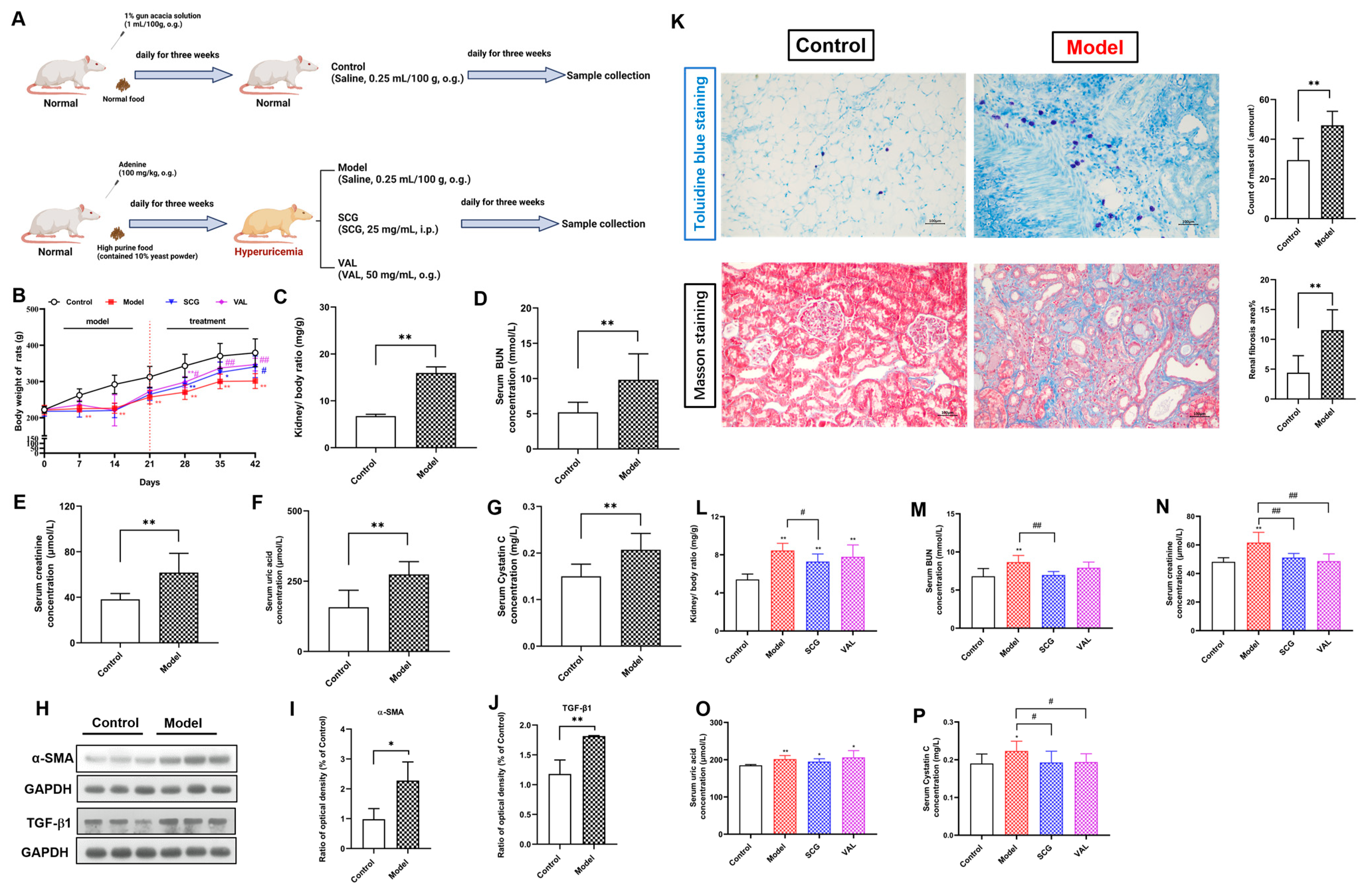 Ijms 24 10839 g002 Ijms 24 10839 g002