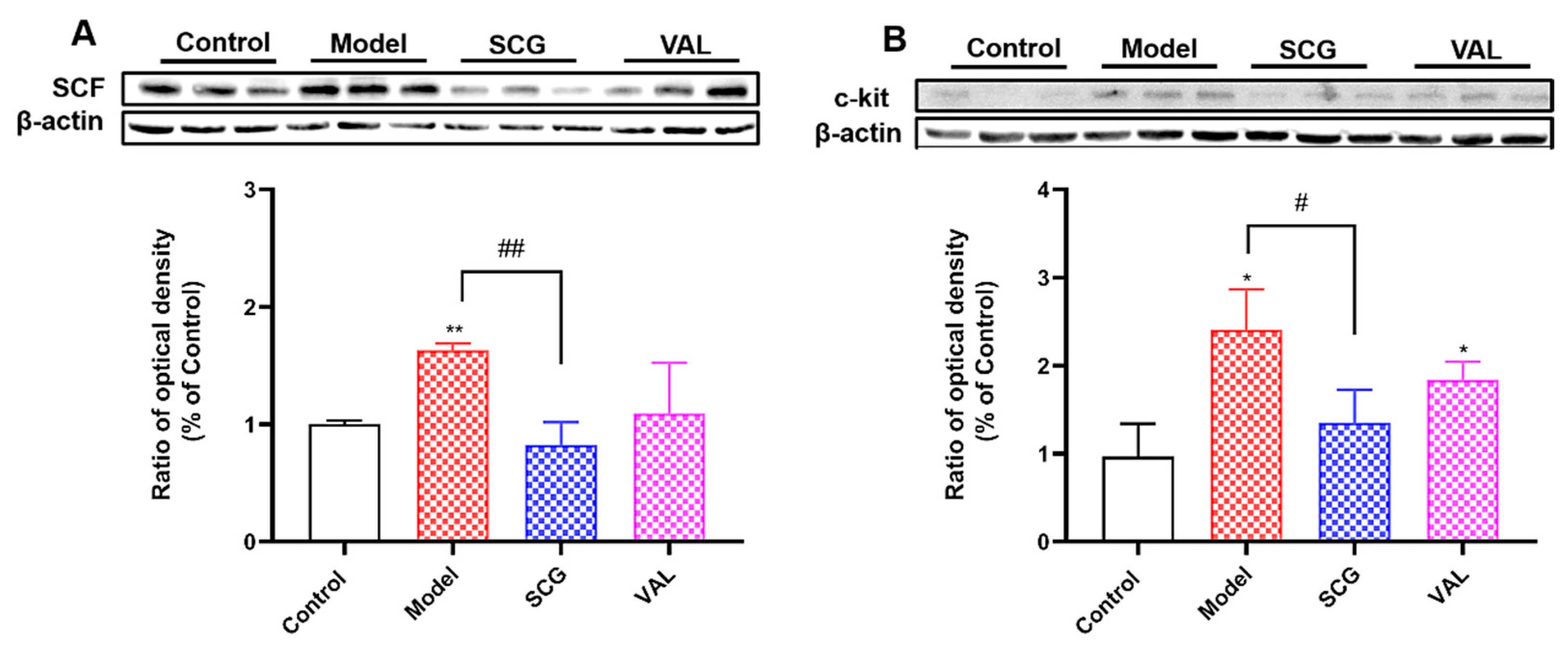 Ijms 24 10839 g005 Ijms 24 10839 g005