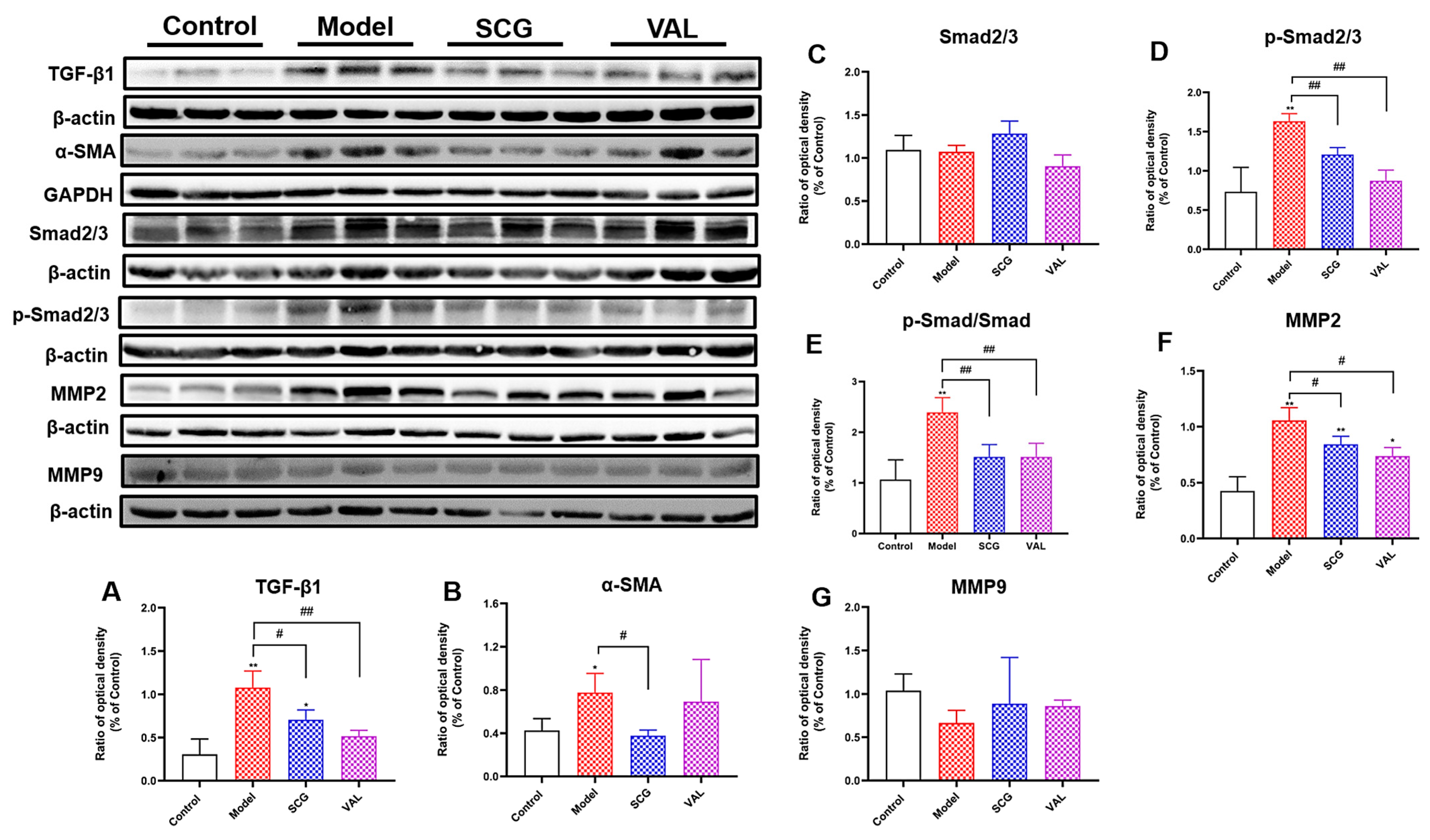 Ijms 24 10839 g006 Ijms 24 10839 g006