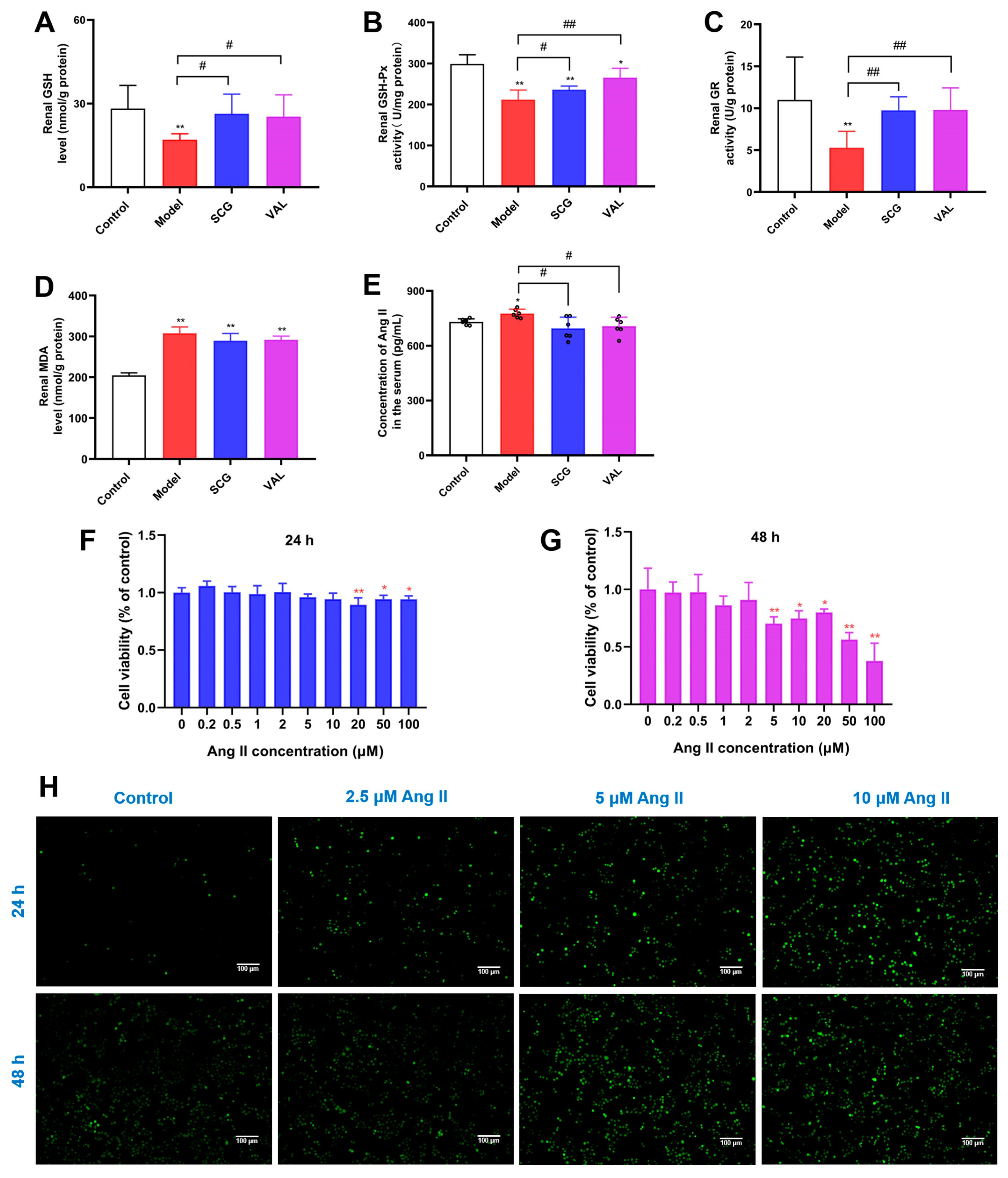 Ijms 24 10839 g008 Ijms 24 10839 g008