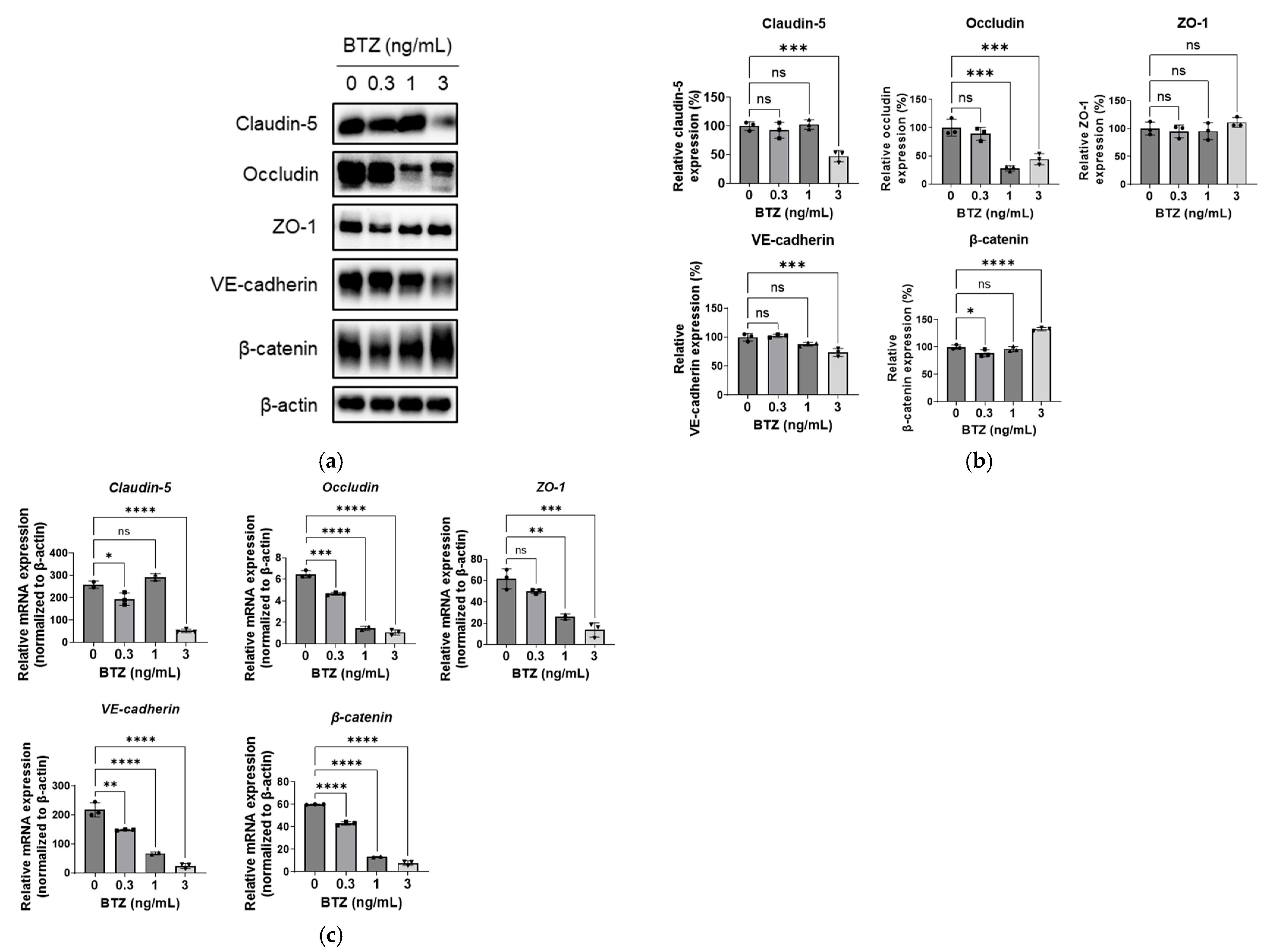 Ijms 24 10842 g003 Ijms 24 10842 g003