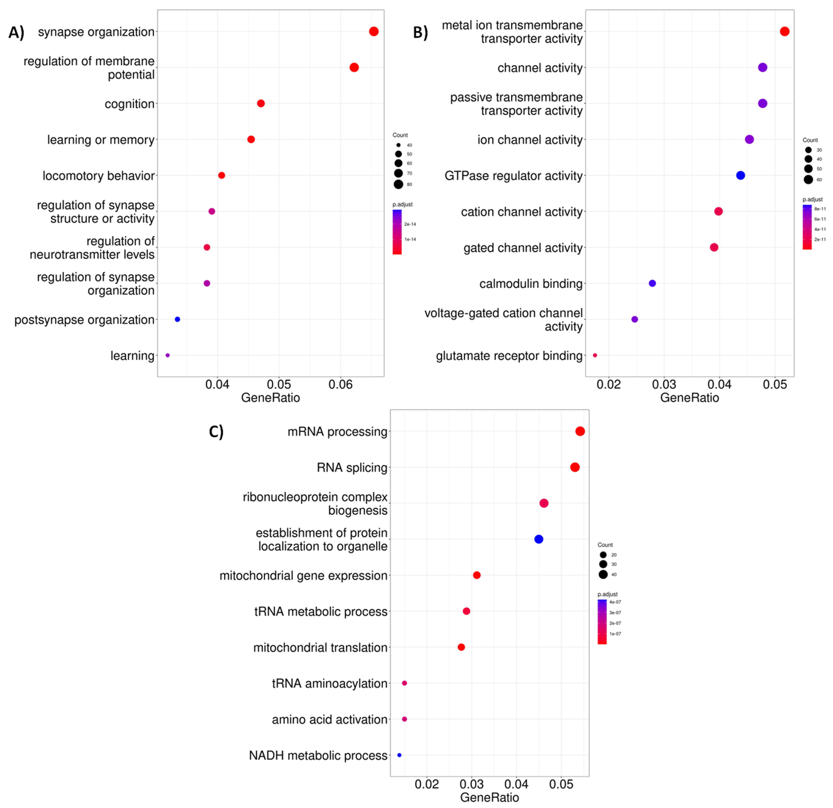 Ijms 24 10848 g002 Ijms 24 10848 g002
