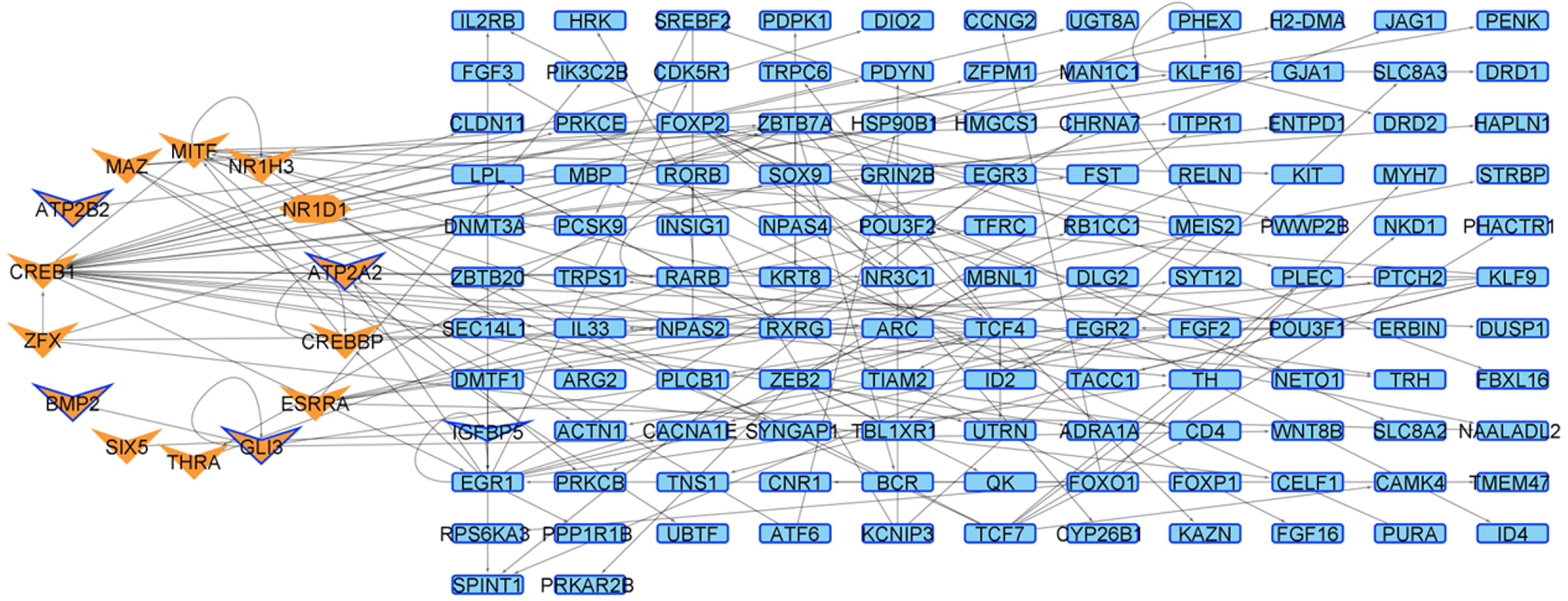 Ijms 24 10848 g005 Ijms 24 10848 g005