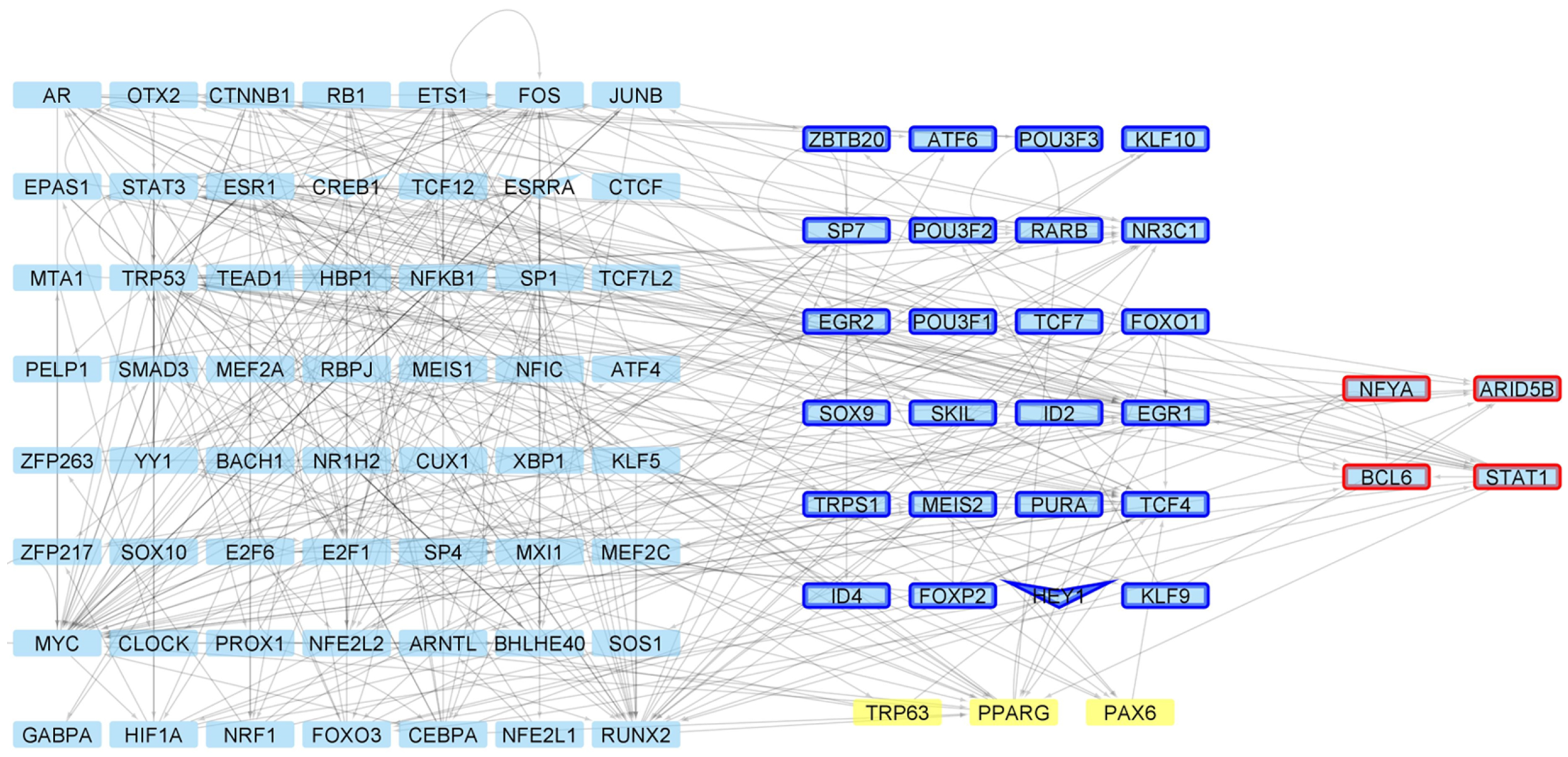 Ijms 24 10848 g006 Ijms 24 10848 g006