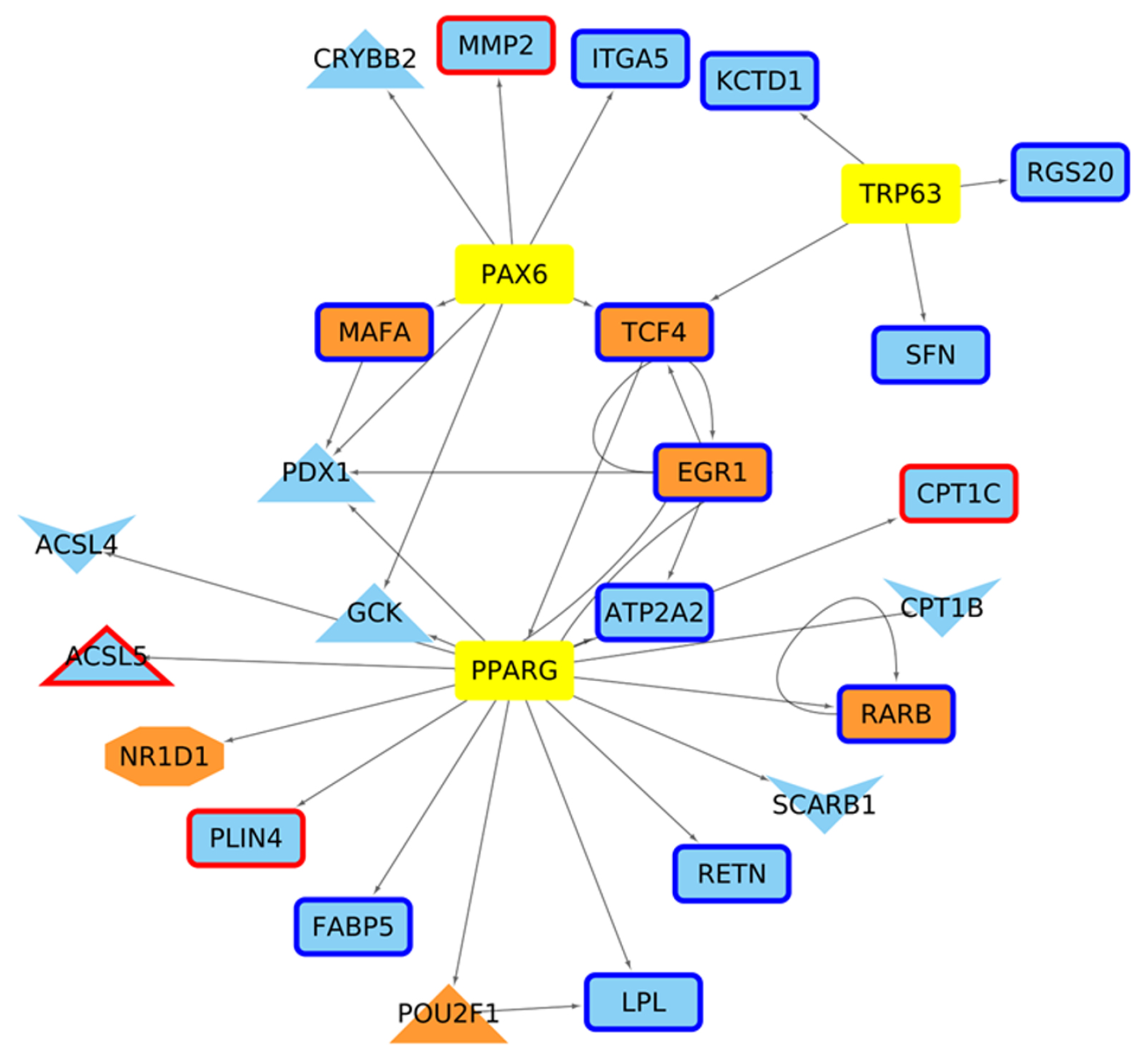 Ijms 24 10848 g007 Ijms 24 10848 g007