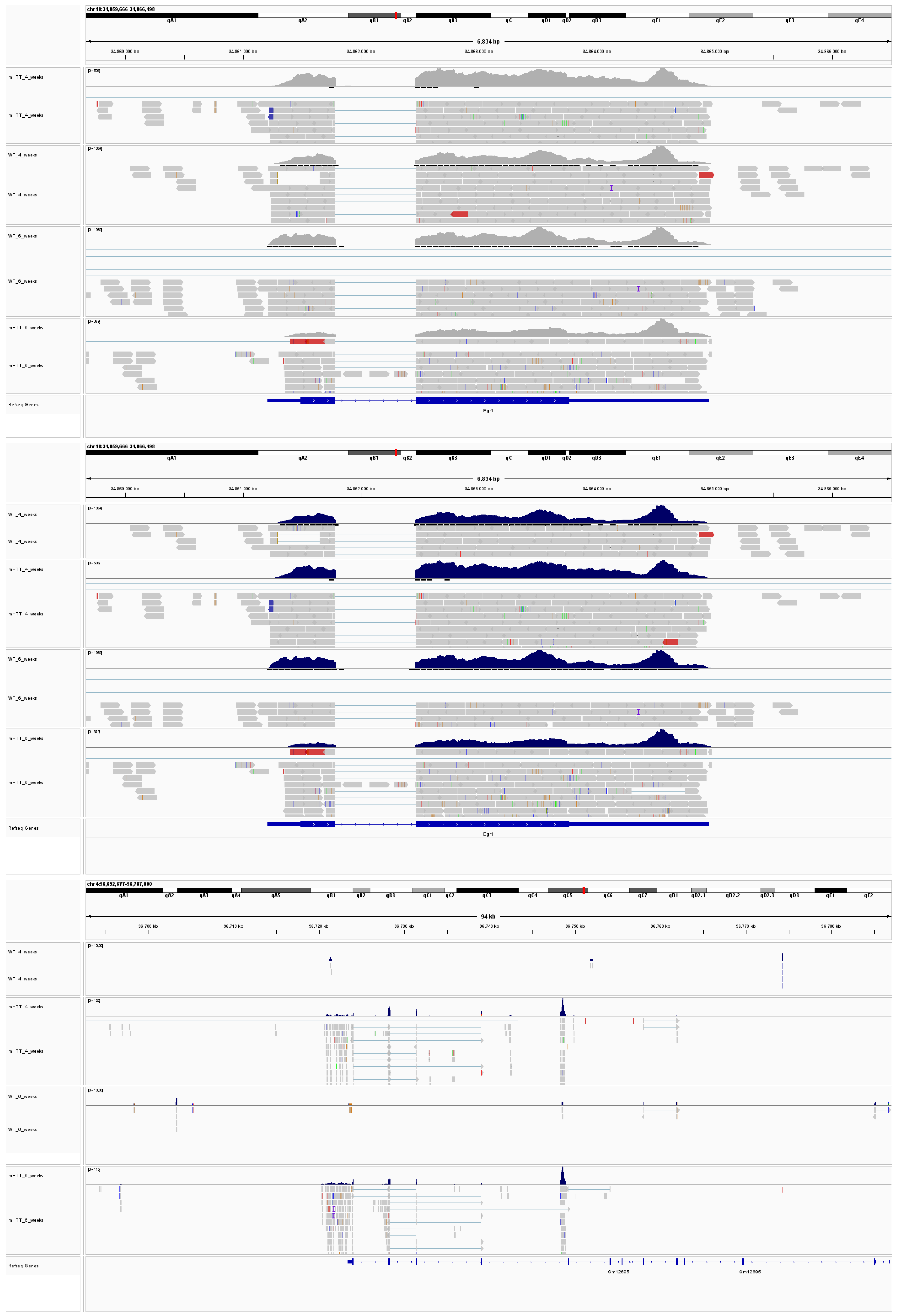 Ijms 24 10848 g0a3 Ijms 24 10848 g0a3