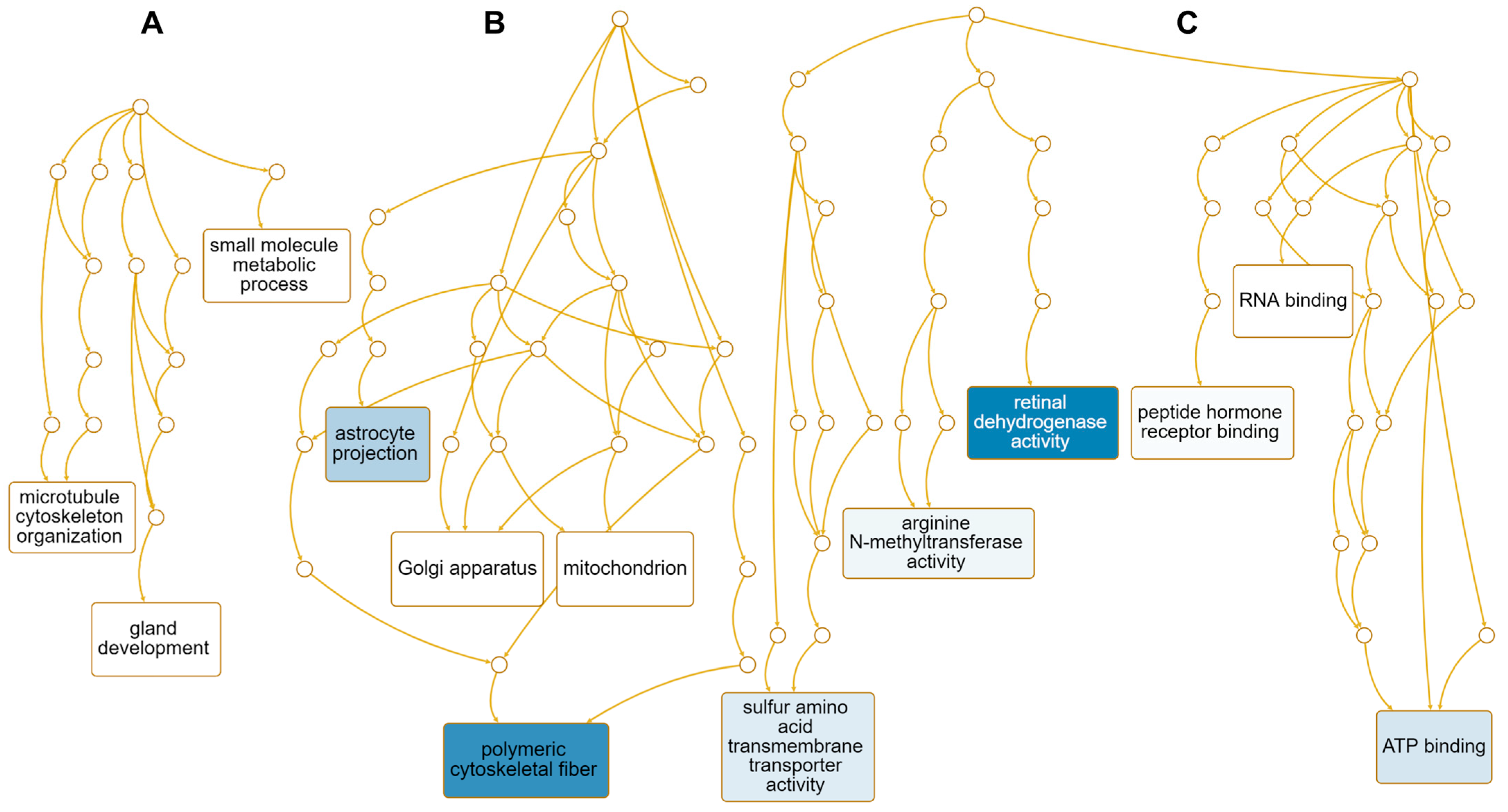 Ijms 24 10853 g009 Ijms 24 10853 g009