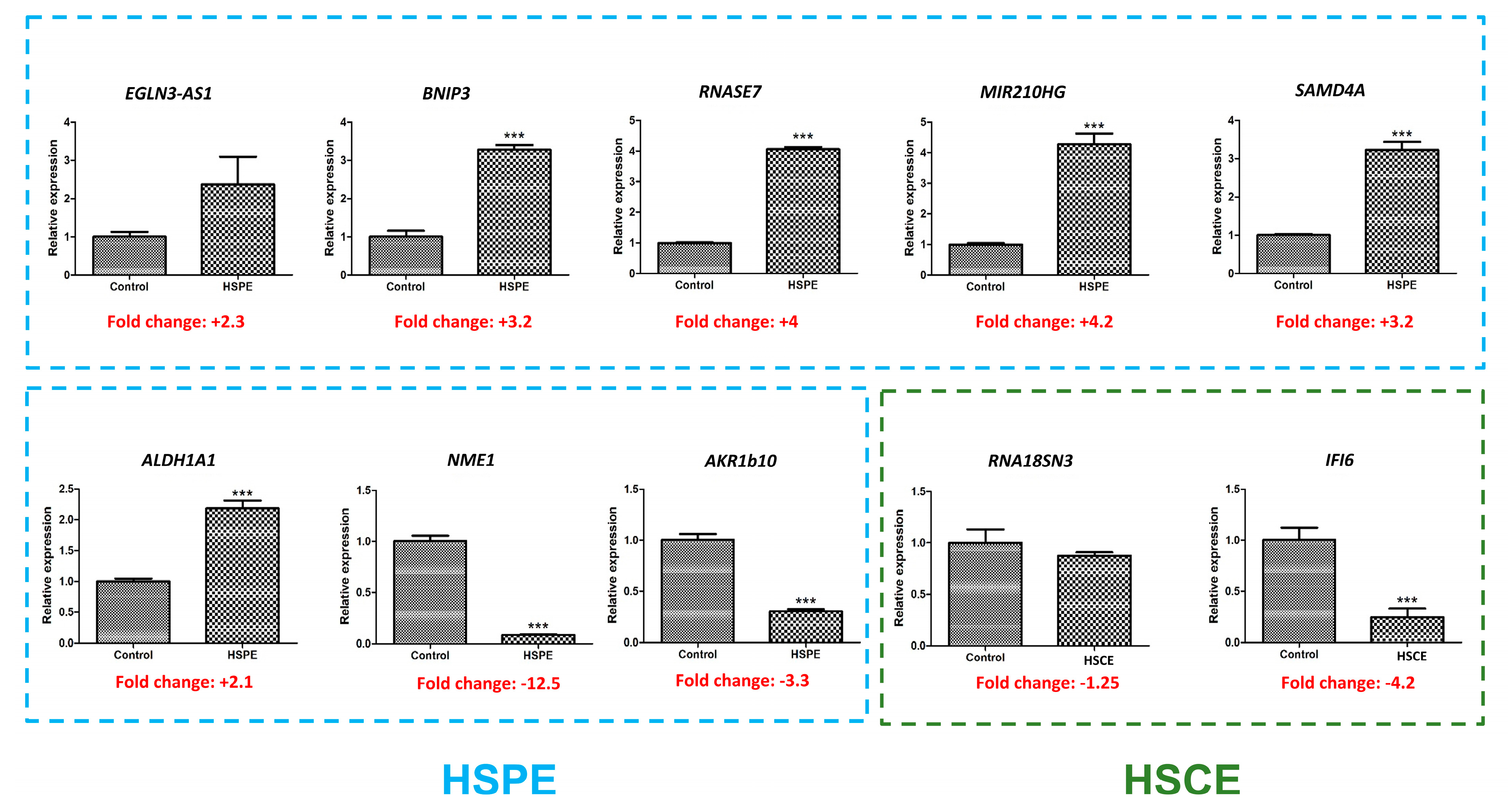 Ijms 24 10853 g010 Ijms 24 10853 g010