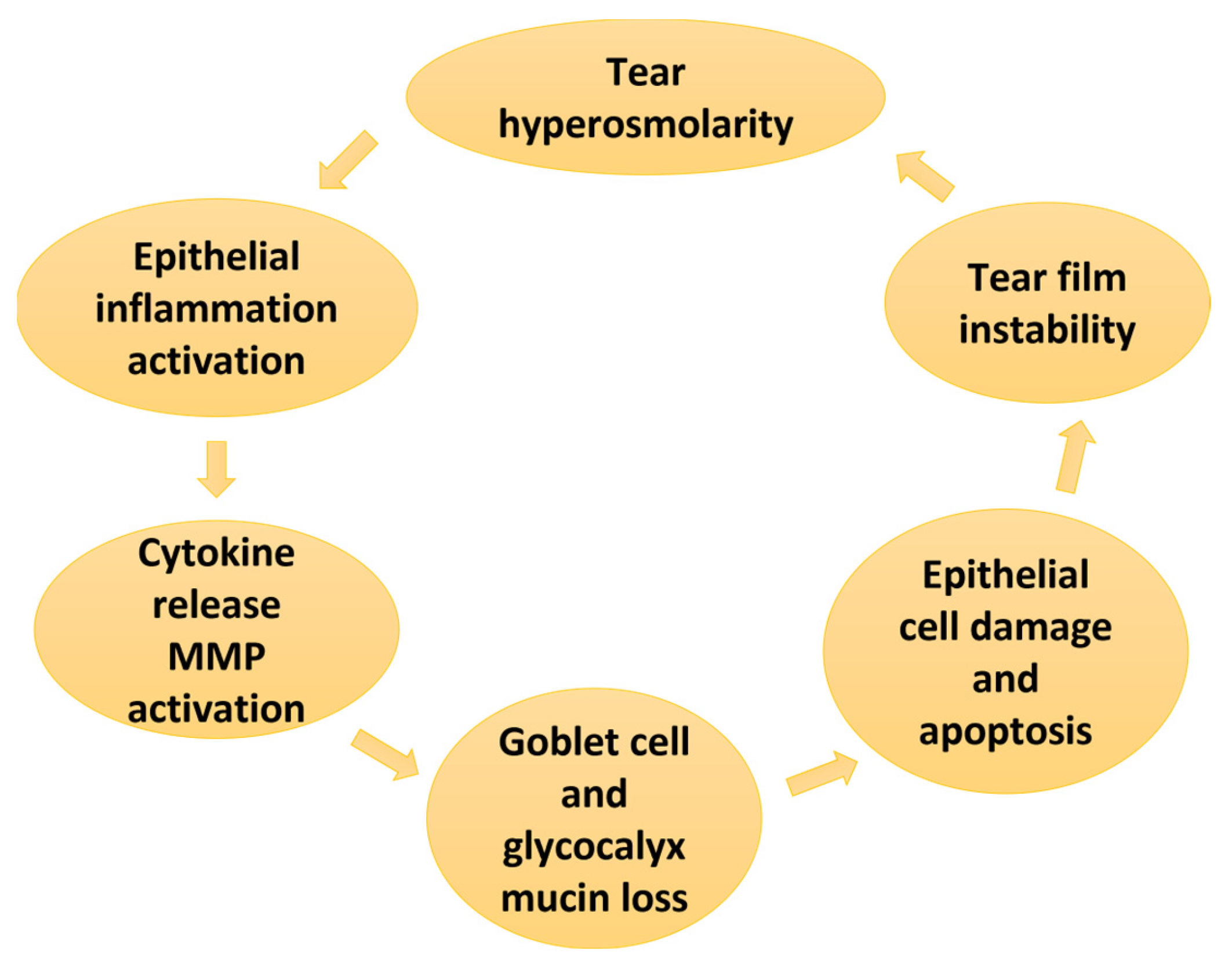 Therapeutic modulation of inflammasome pathways - Chauhan - 2020