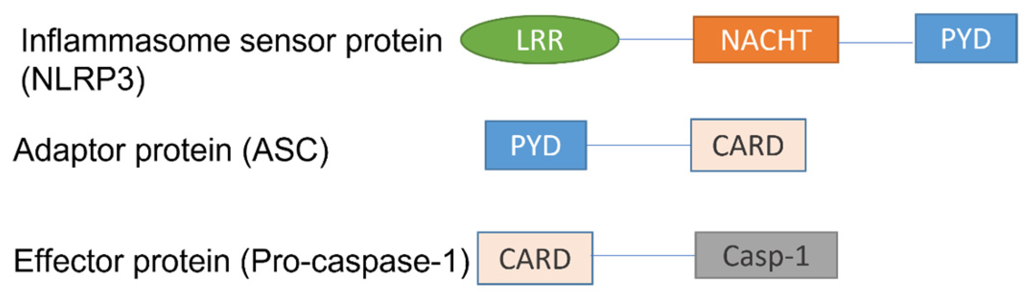 Ijms 24 10866 g003 Ijms 24 10866 g003