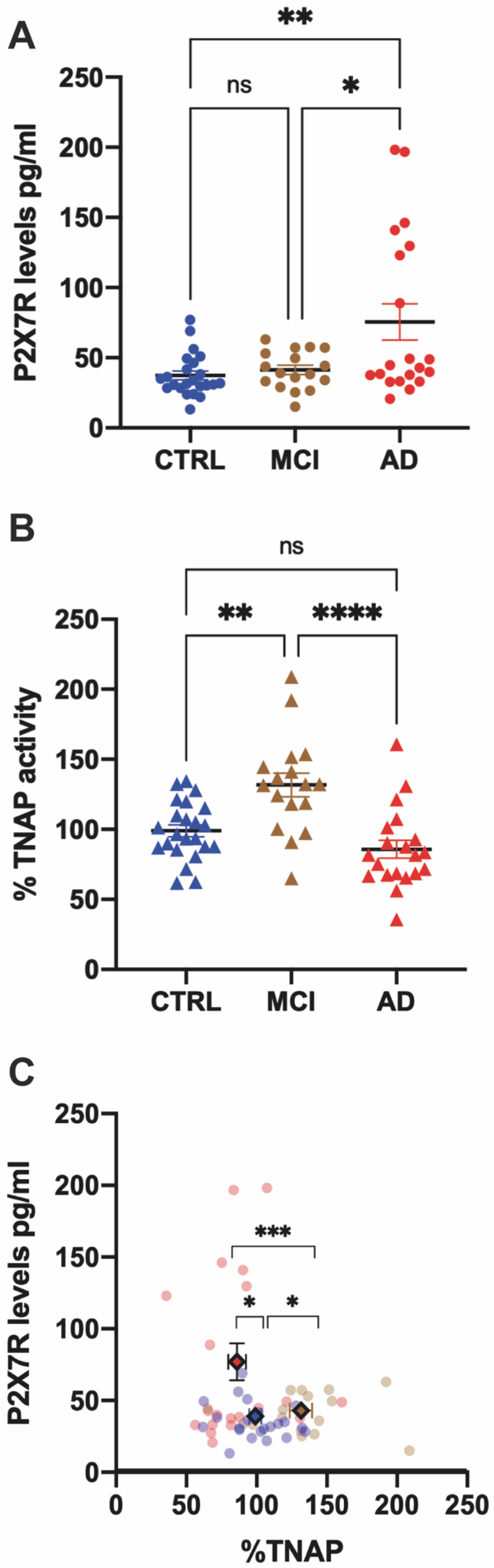 Ijms 24 10897 g001 Ijms 24 10897 g001