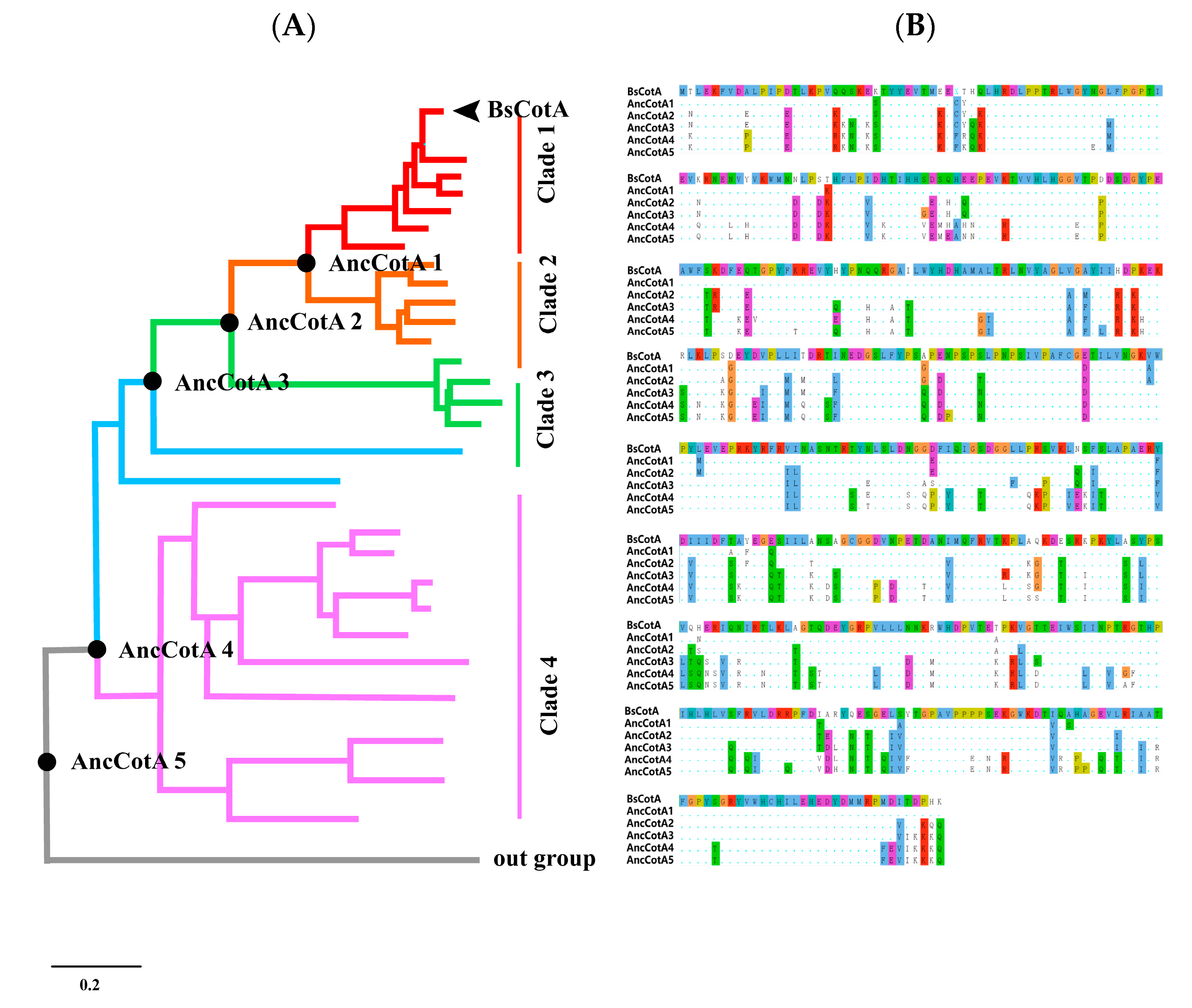 Ijms 24 10901 g001 Ijms 24 10901 g001
