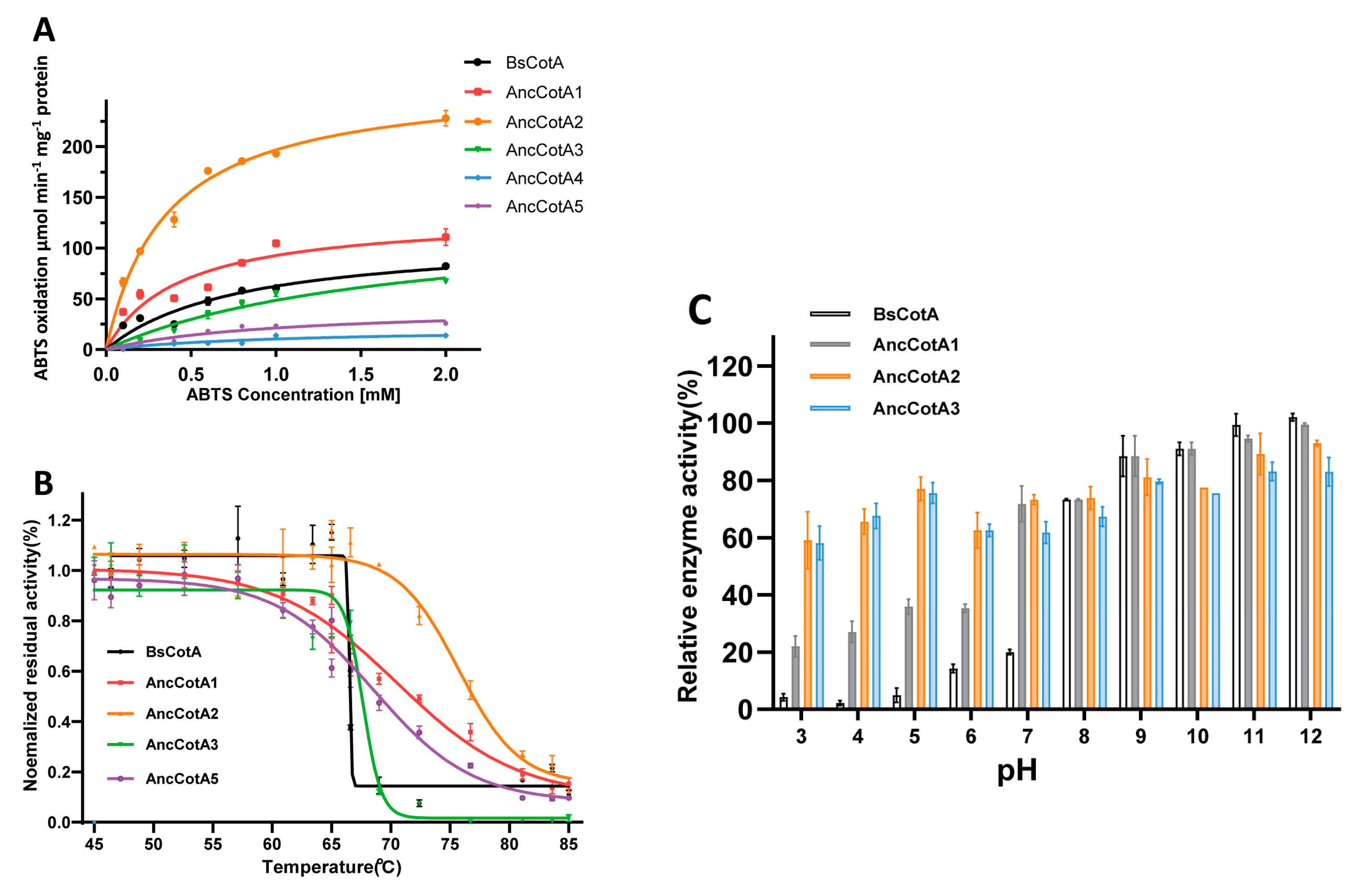 Ijms 24 10901 g002 Ijms 24 10901 g002