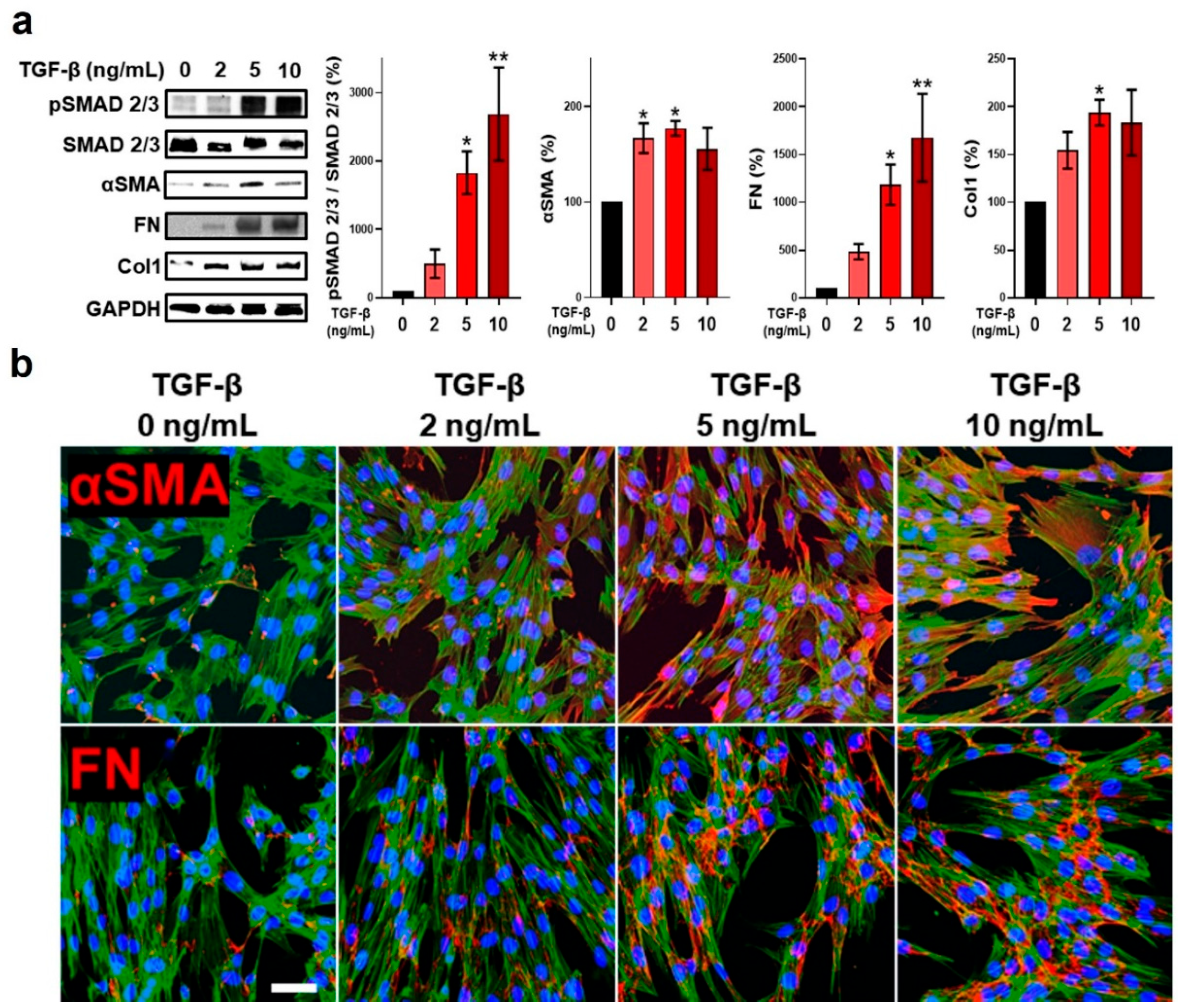 Ijms 24 10913 g002 Ijms 24 10913 g002