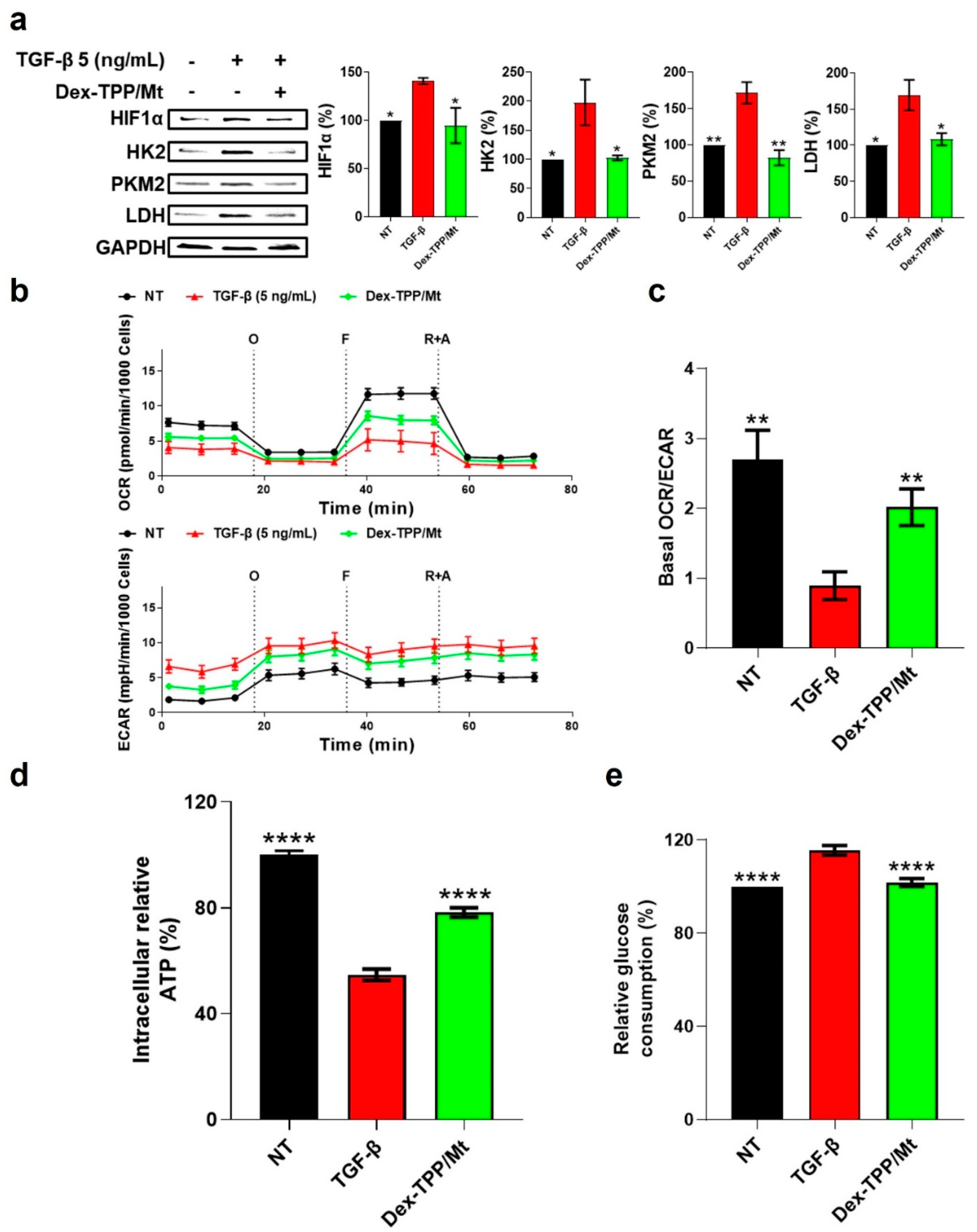Ijms 24 10913 g004 Ijms 24 10913 g004