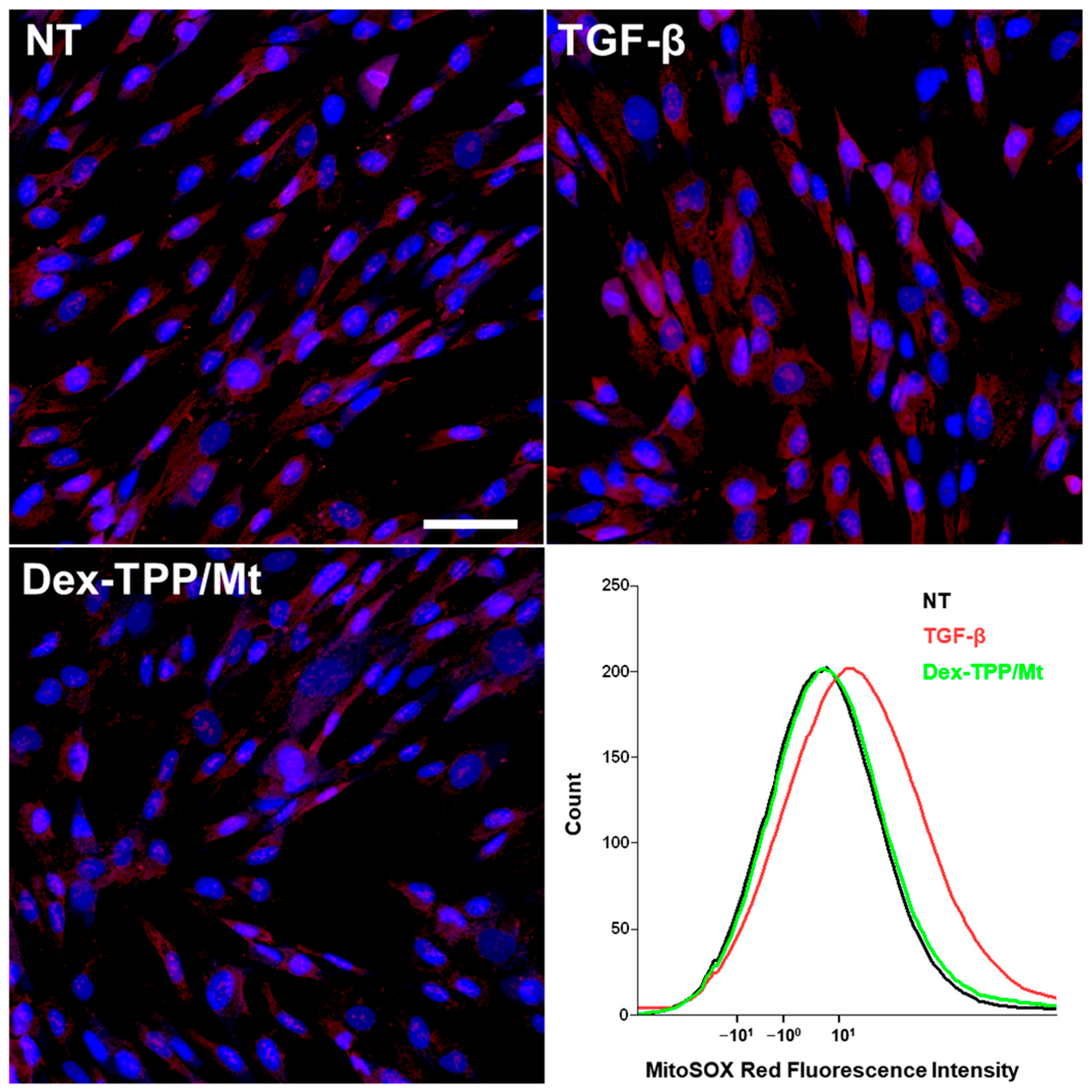 Ijms 24 10913 g005 Ijms 24 10913 g005
