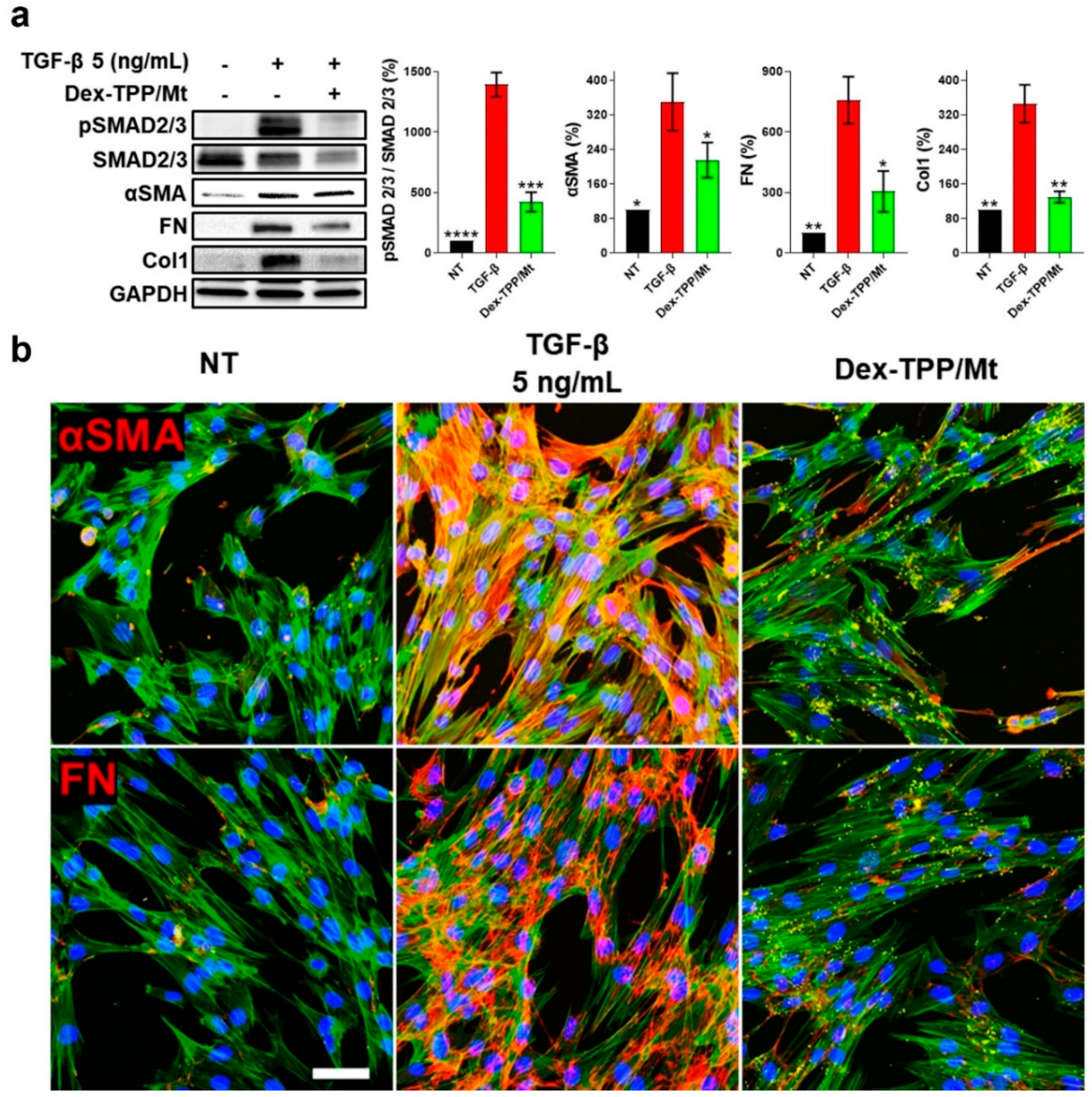 Ijms 24 10913 g006 Ijms 24 10913 g006