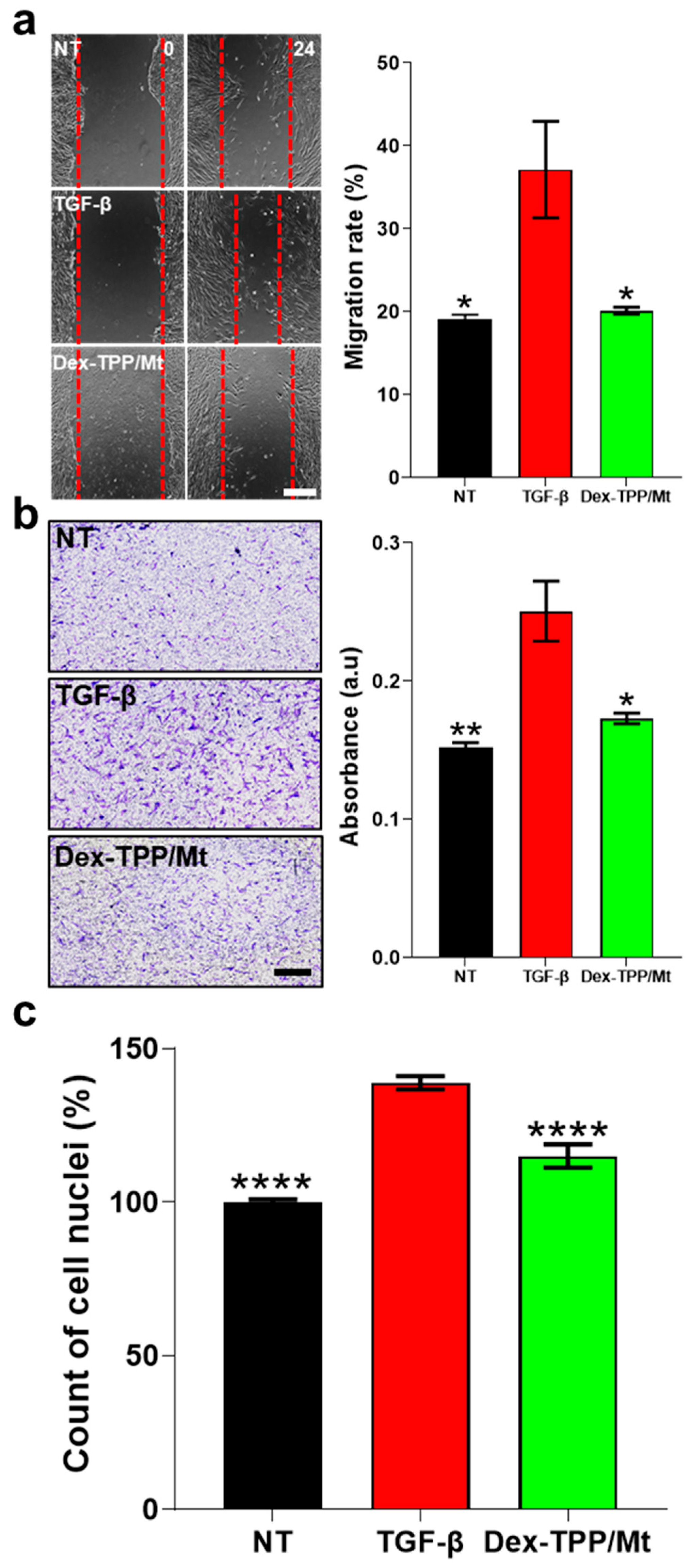 Ijms 24 10913 g007 Ijms 24 10913 g007