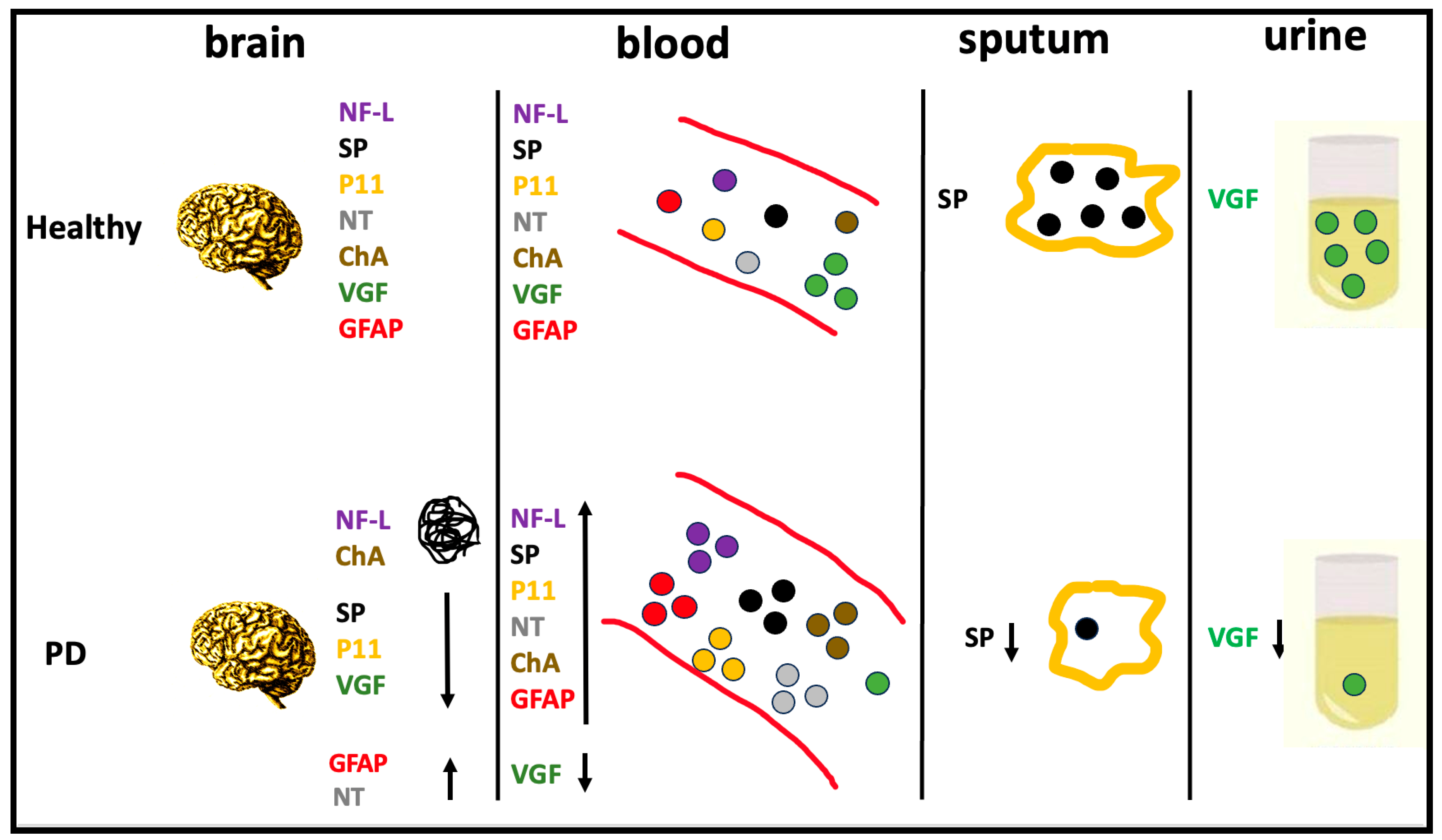 https://www.mdpi.com/ijms/ijms-24-10932/article_deploy/html/images/ijms-24-10932-g001.png