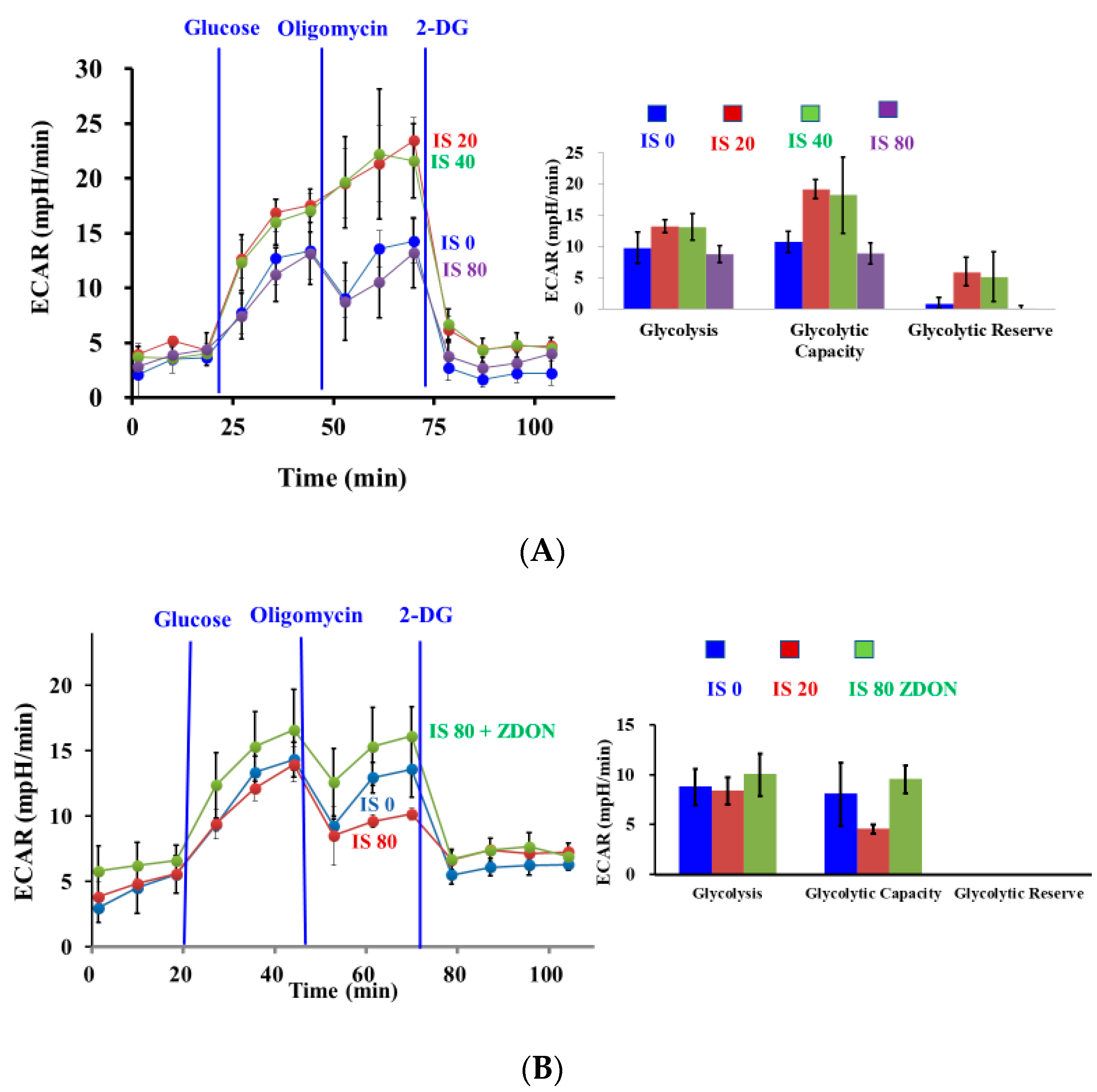 Ijms 24 10935 g003 Ijms 24 10935 g003