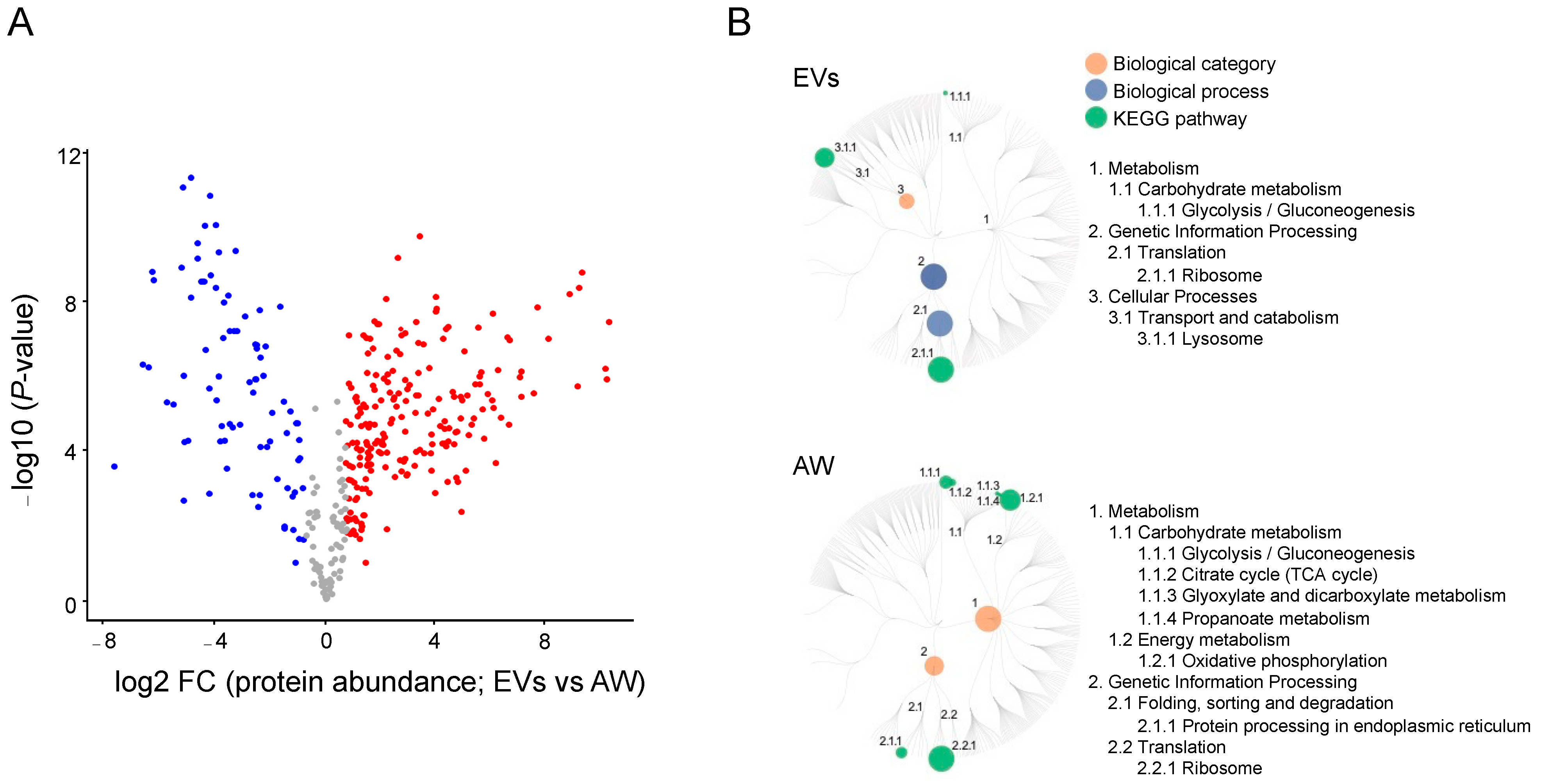 Ijms 24 10955 g003 Ijms 24 10955 g003