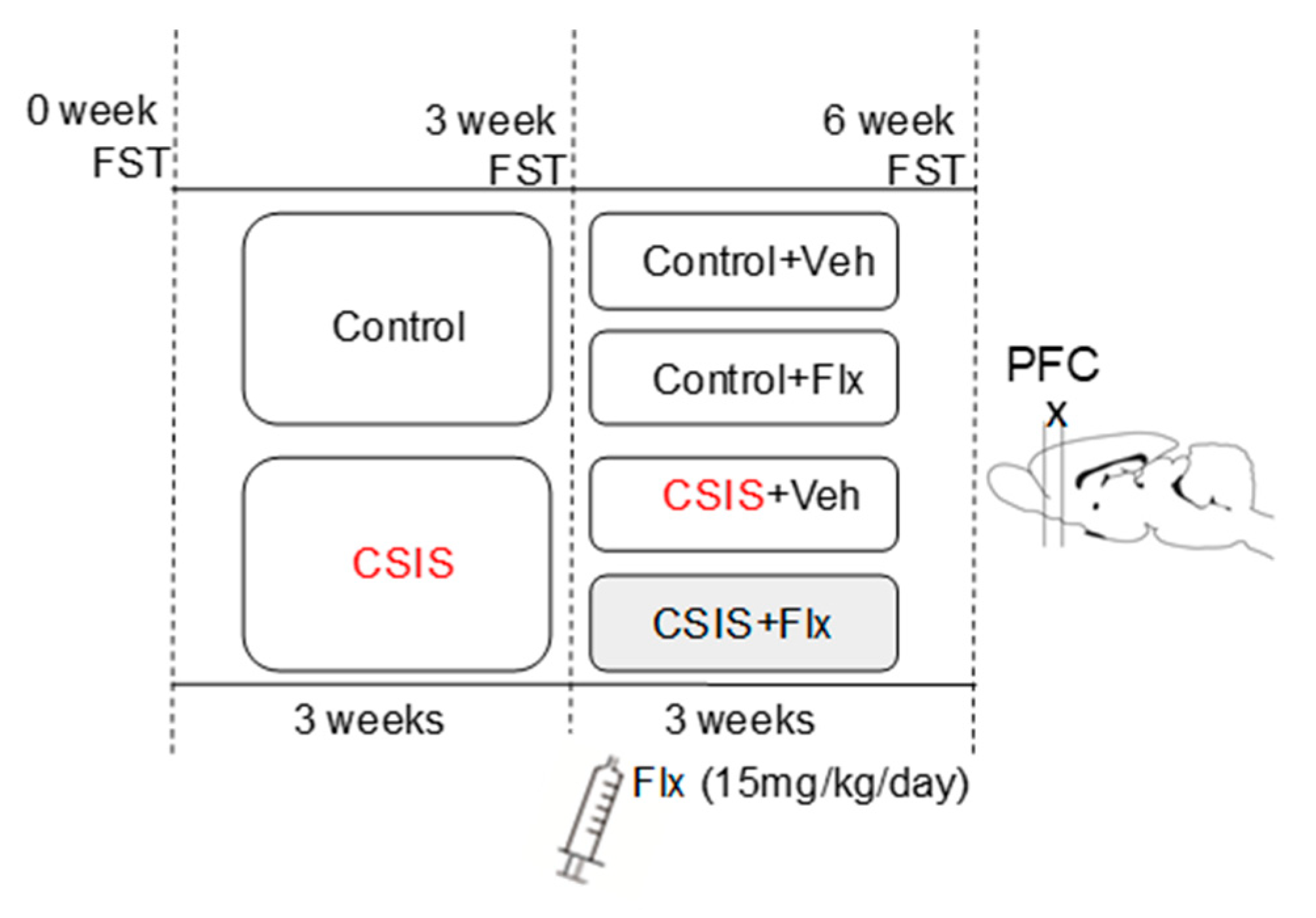 Ijms 24 10957 g004 Ijms 24 10957 g004