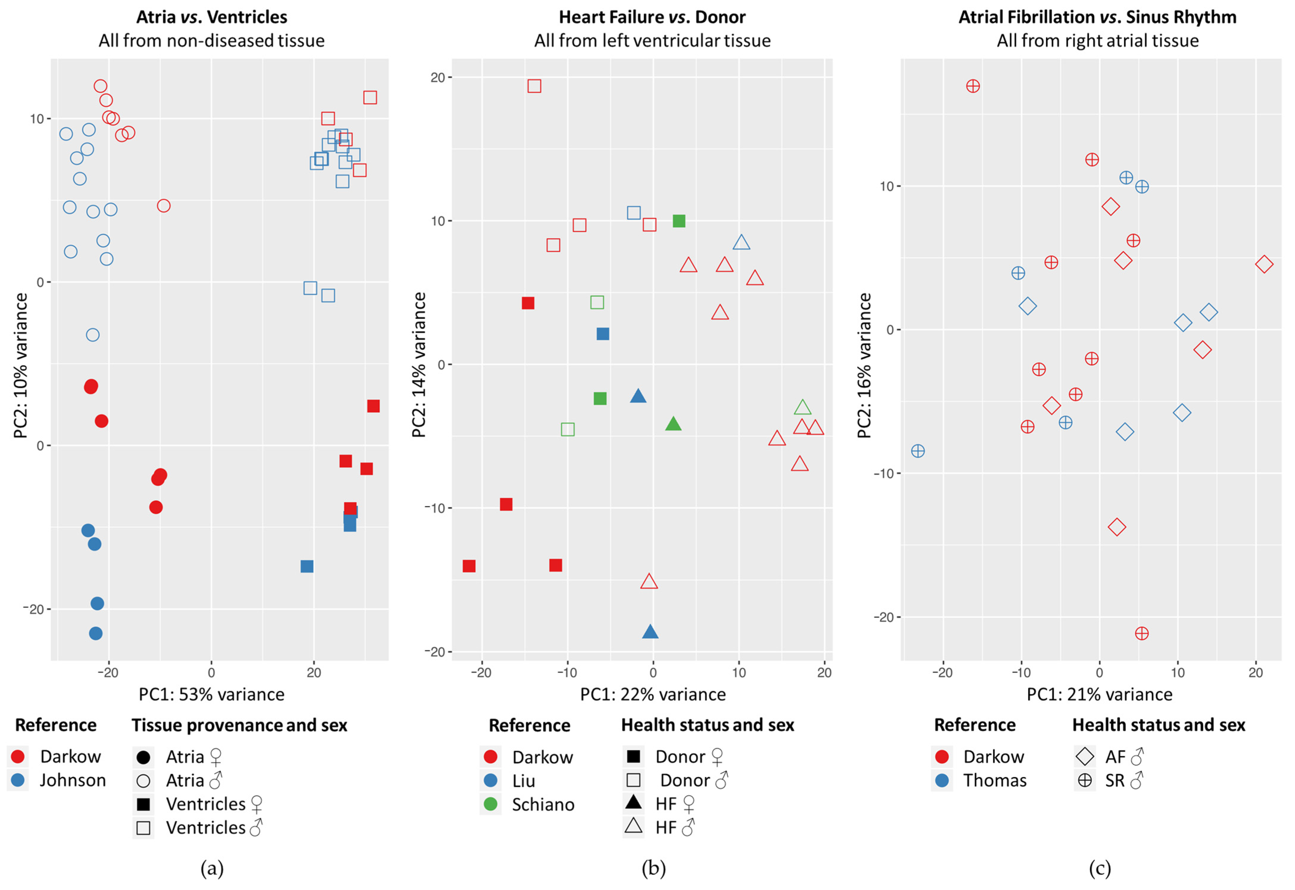 Ijms 24 10961 g001 Ijms 24 10961 g001