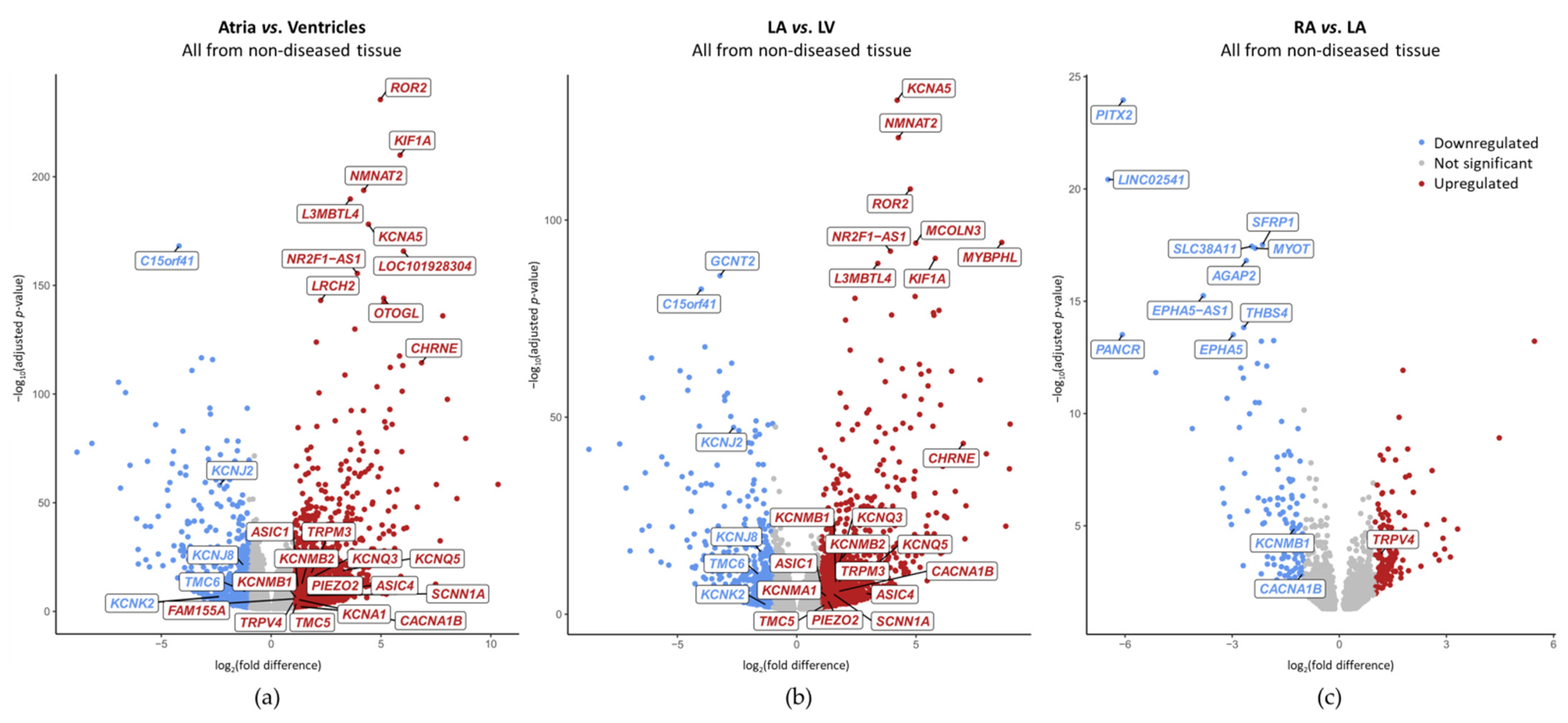 Ijms 24 10961 g004 Ijms 24 10961 g004