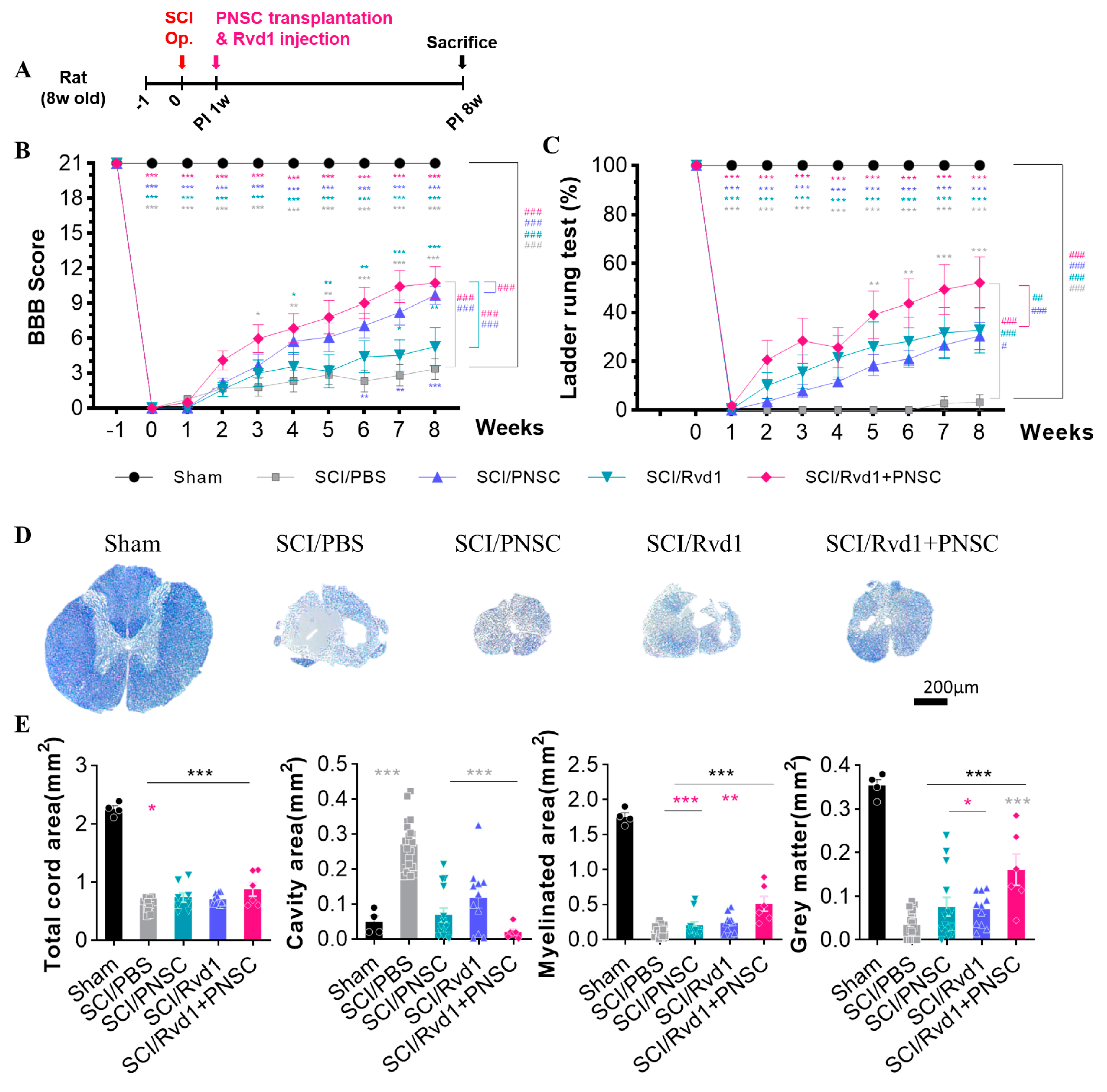 Ijms 24 10971 g002 Ijms 24 10971 g002