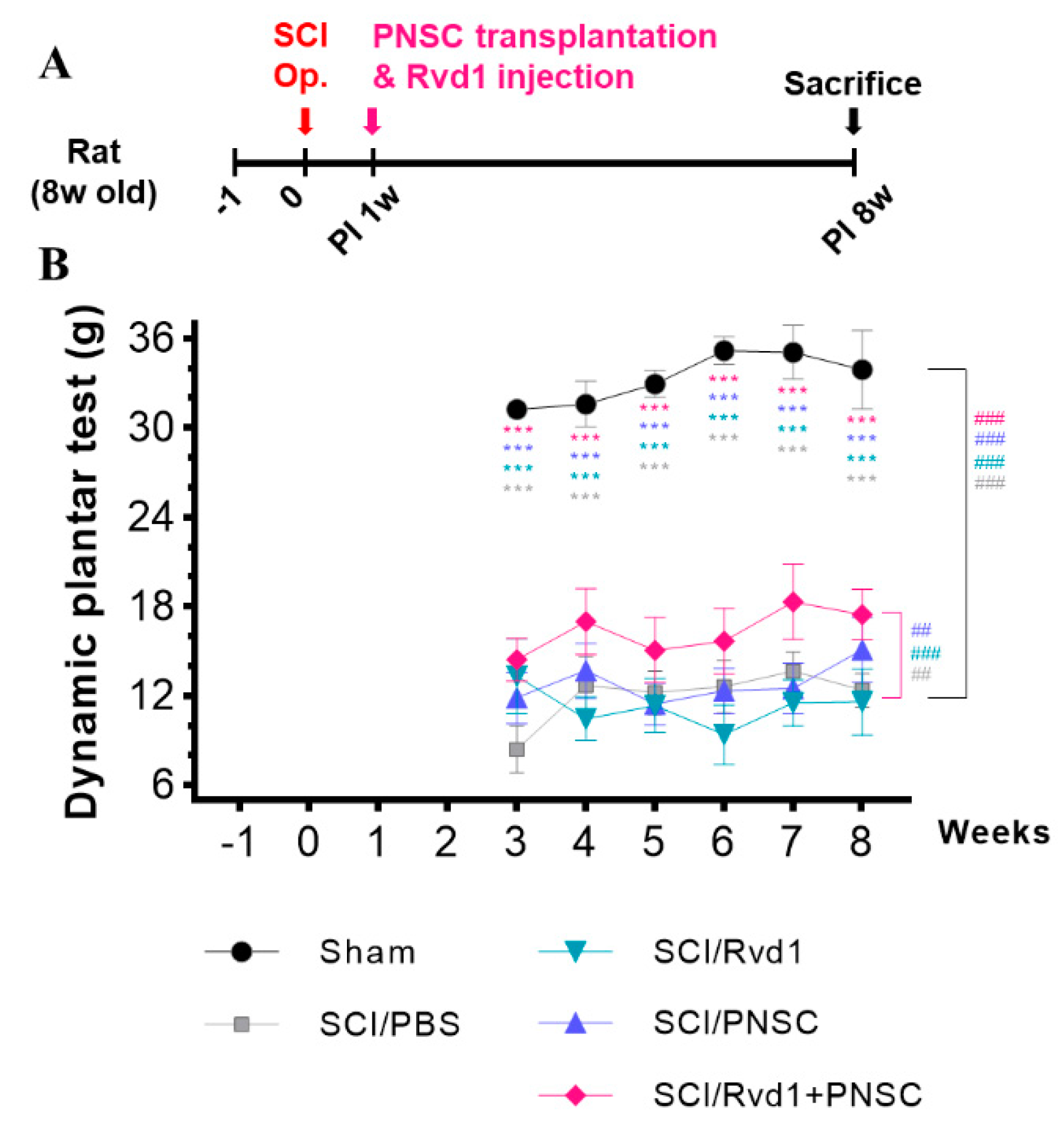 Ijms 24 10971 g003 Ijms 24 10971 g003