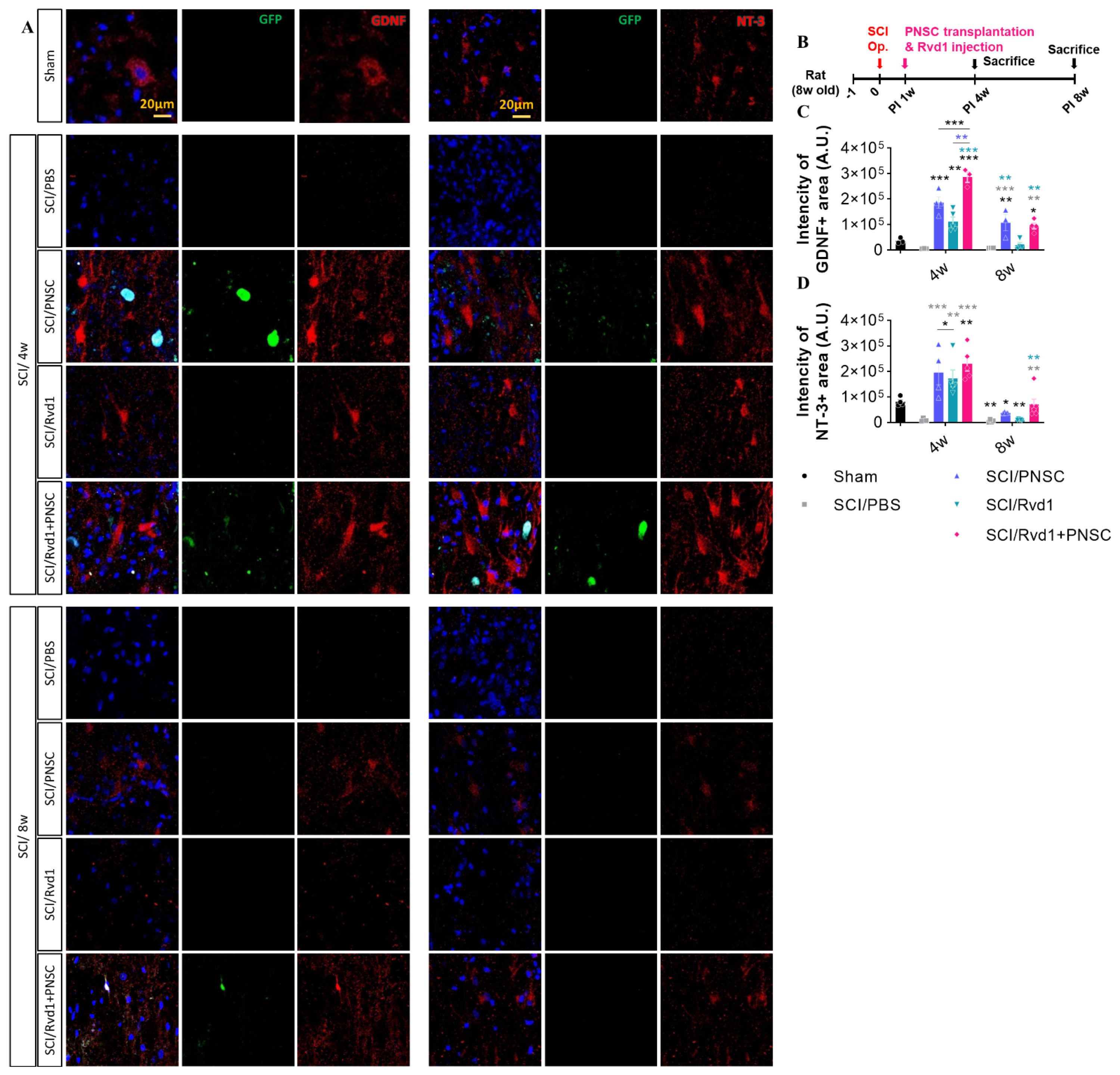 Ijms 24 10971 g006 Ijms 24 10971 g006