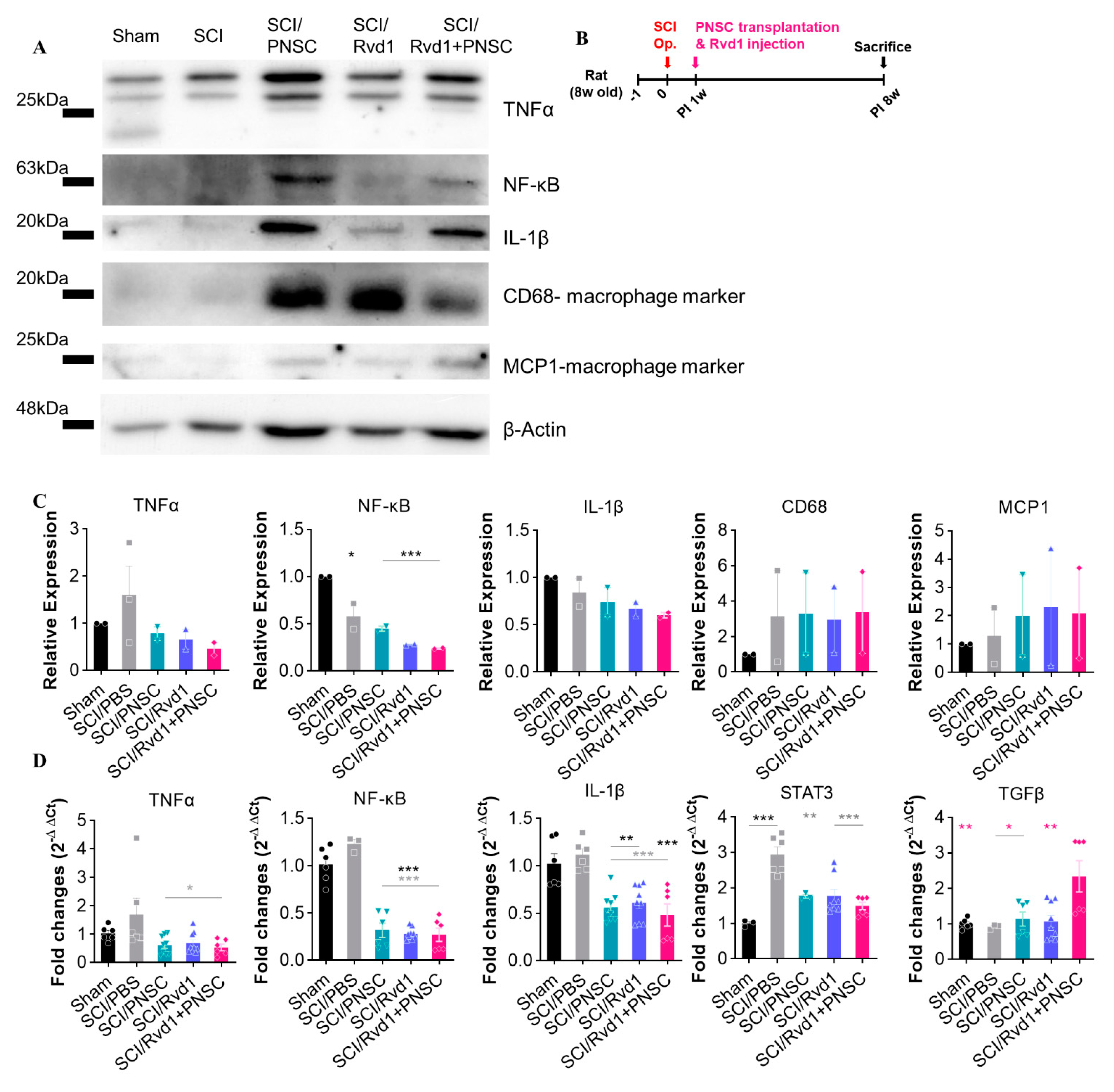 Ijms 24 10971 g007 Ijms 24 10971 g007