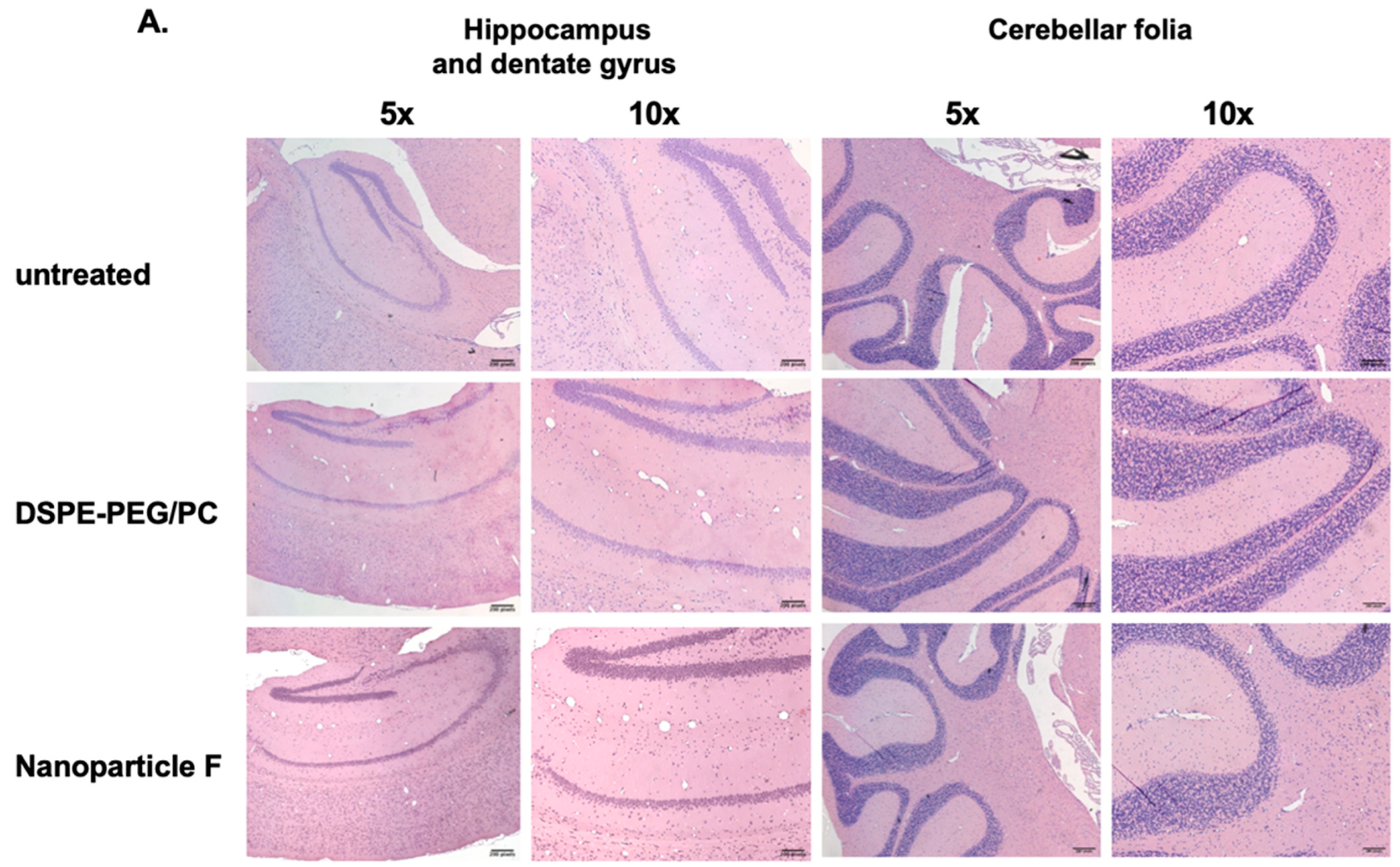 Ijms 24 11013 g004a Ijms 24 11013 g004a