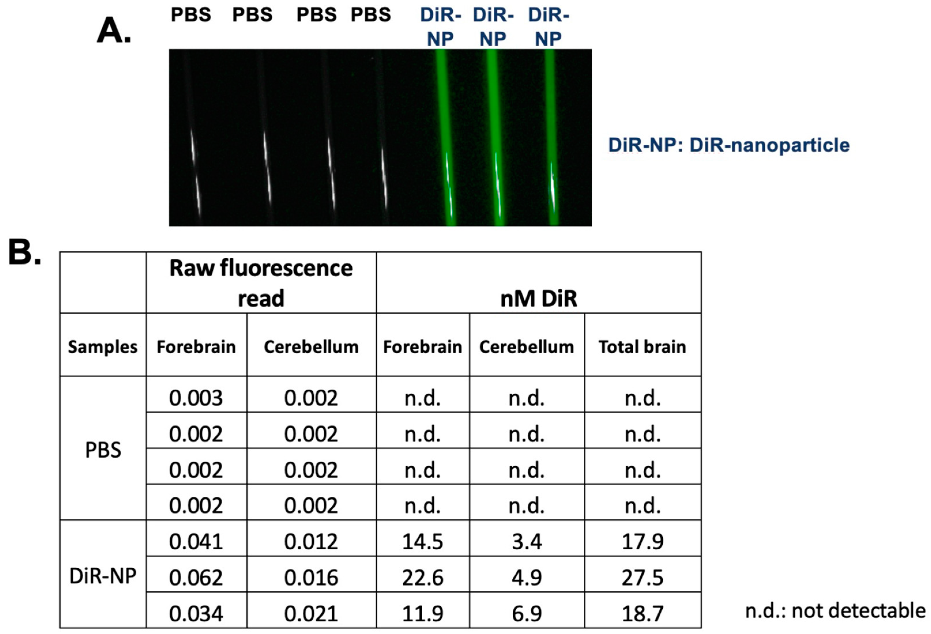 Ijms 24 11013 g005 Ijms 24 11013 g005