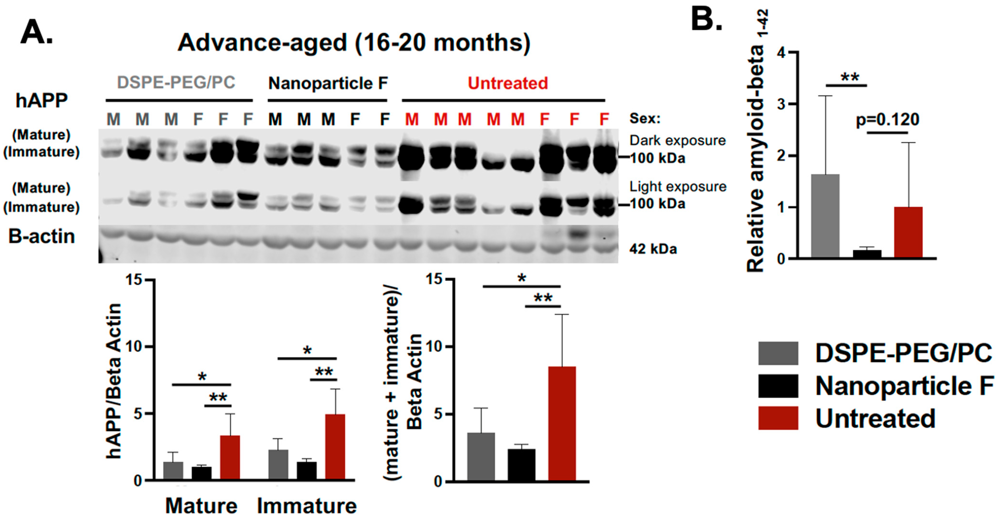 Ijms 24 11013 g006 Ijms 24 11013 g006