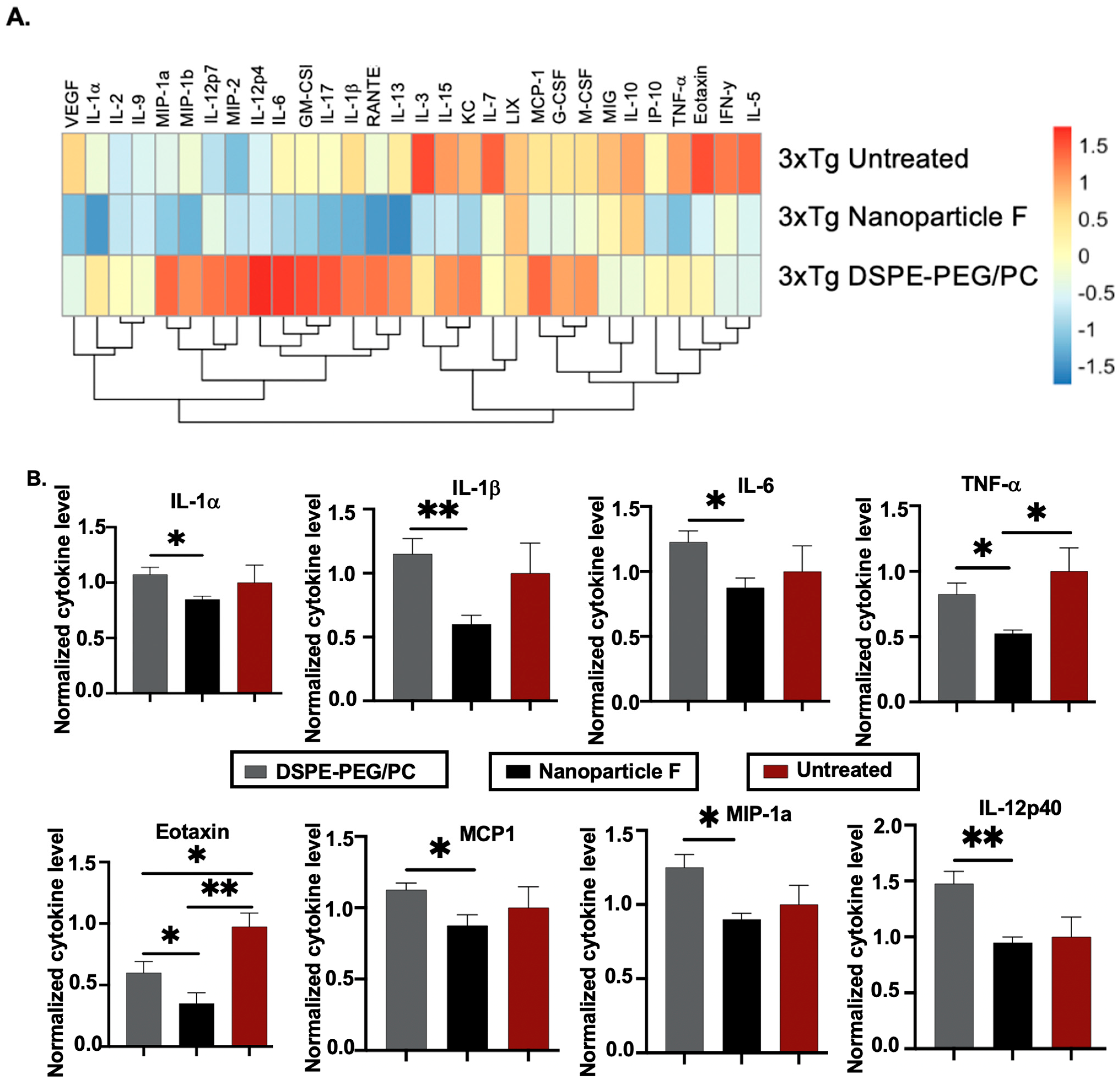 Ijms 24 11013 g008 Ijms 24 11013 g008