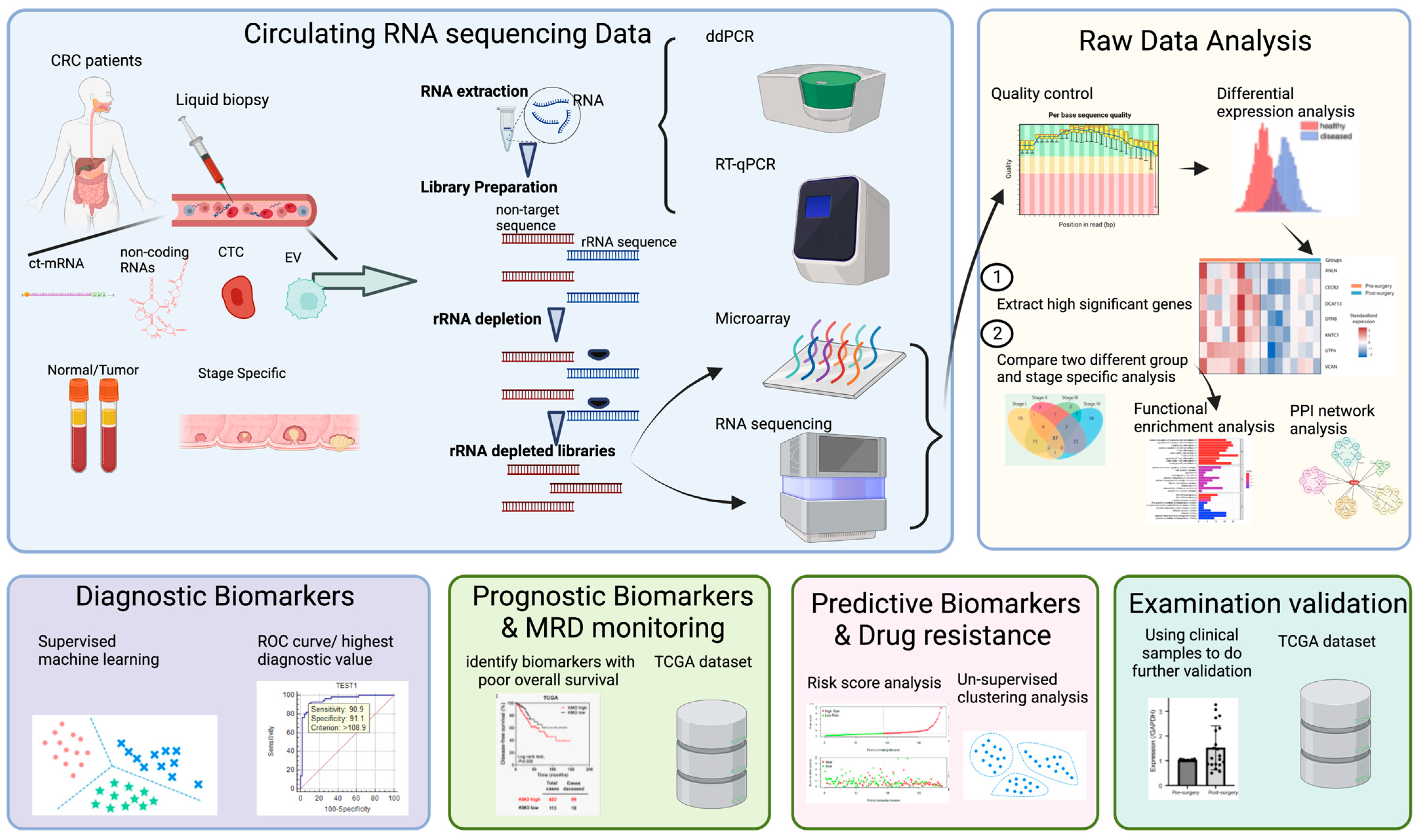 Ijms 24 11026 g001 Ijms 24 11026 g001