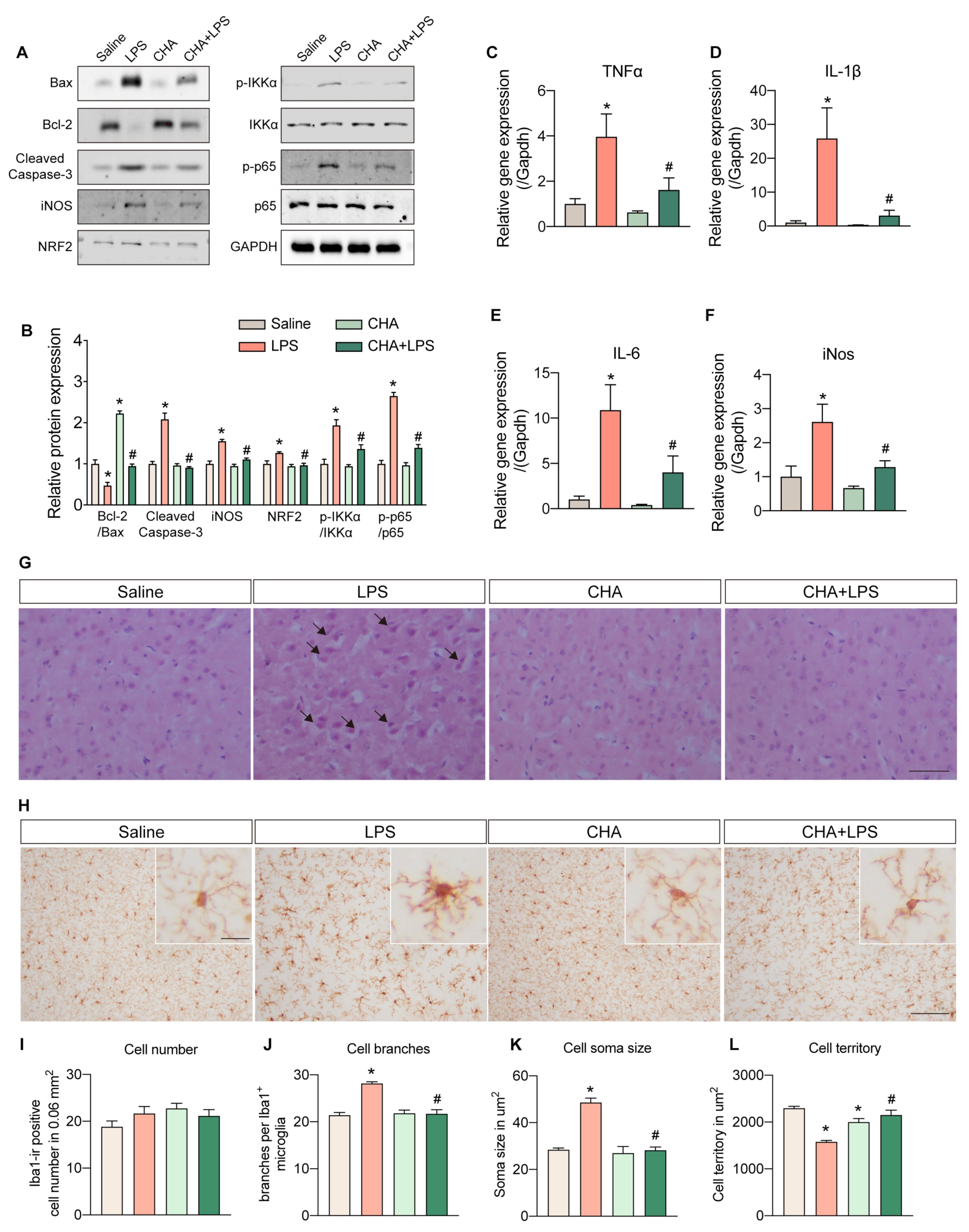 Ijms 24 11036 g002 Ijms 24 11036 g002
